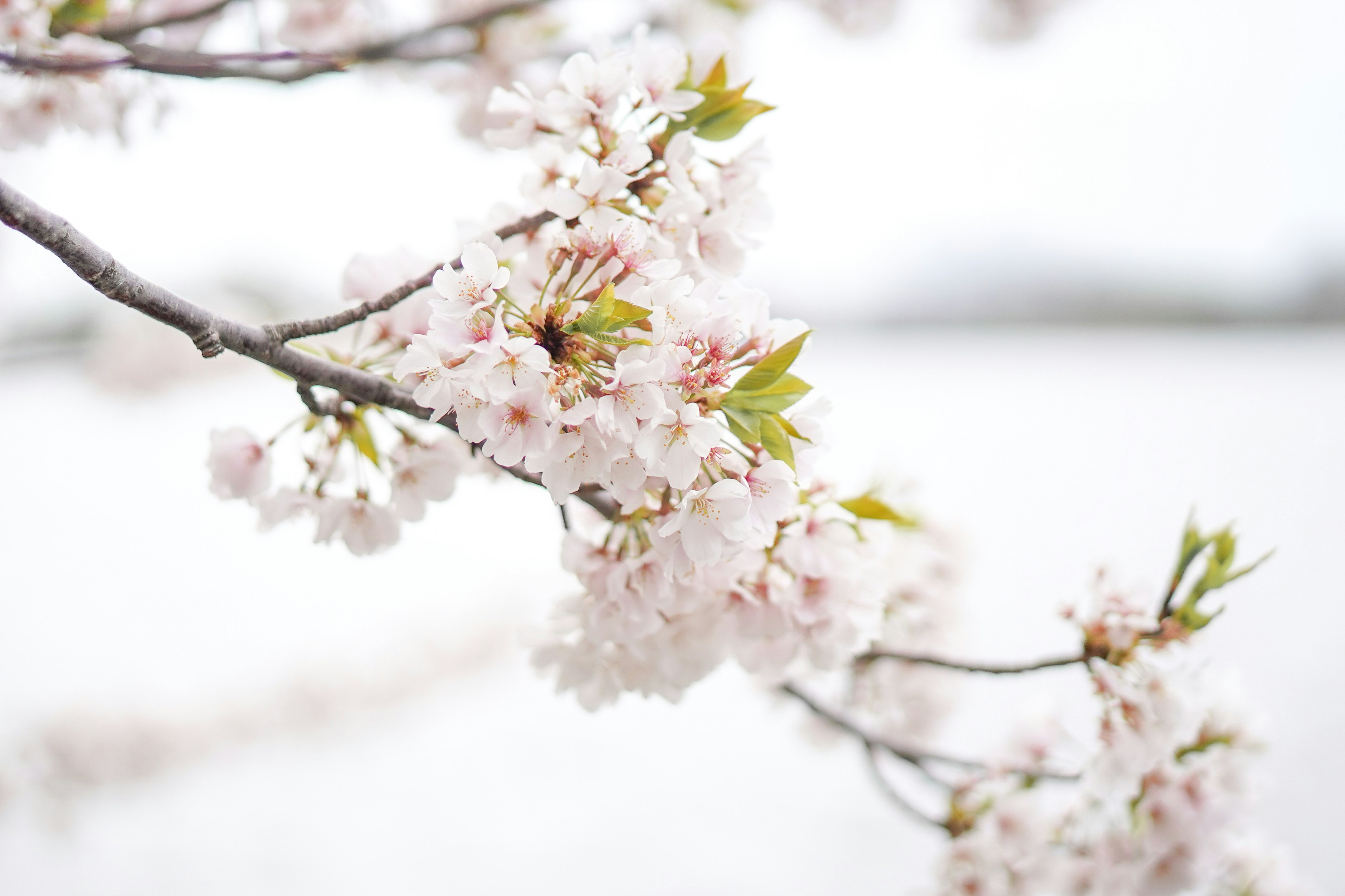 Photo by heyashleyyy