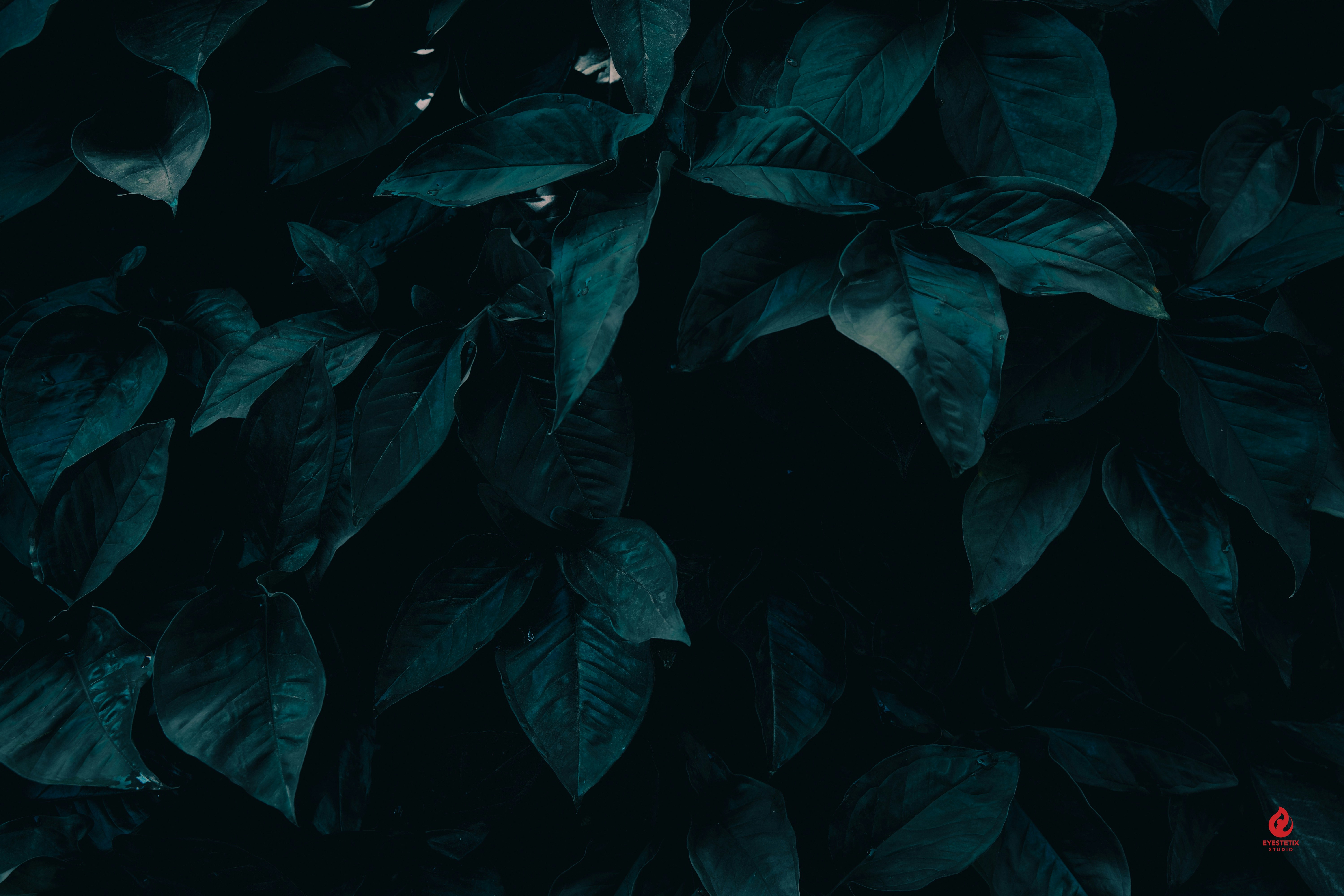 Photo by eyestetix_studio