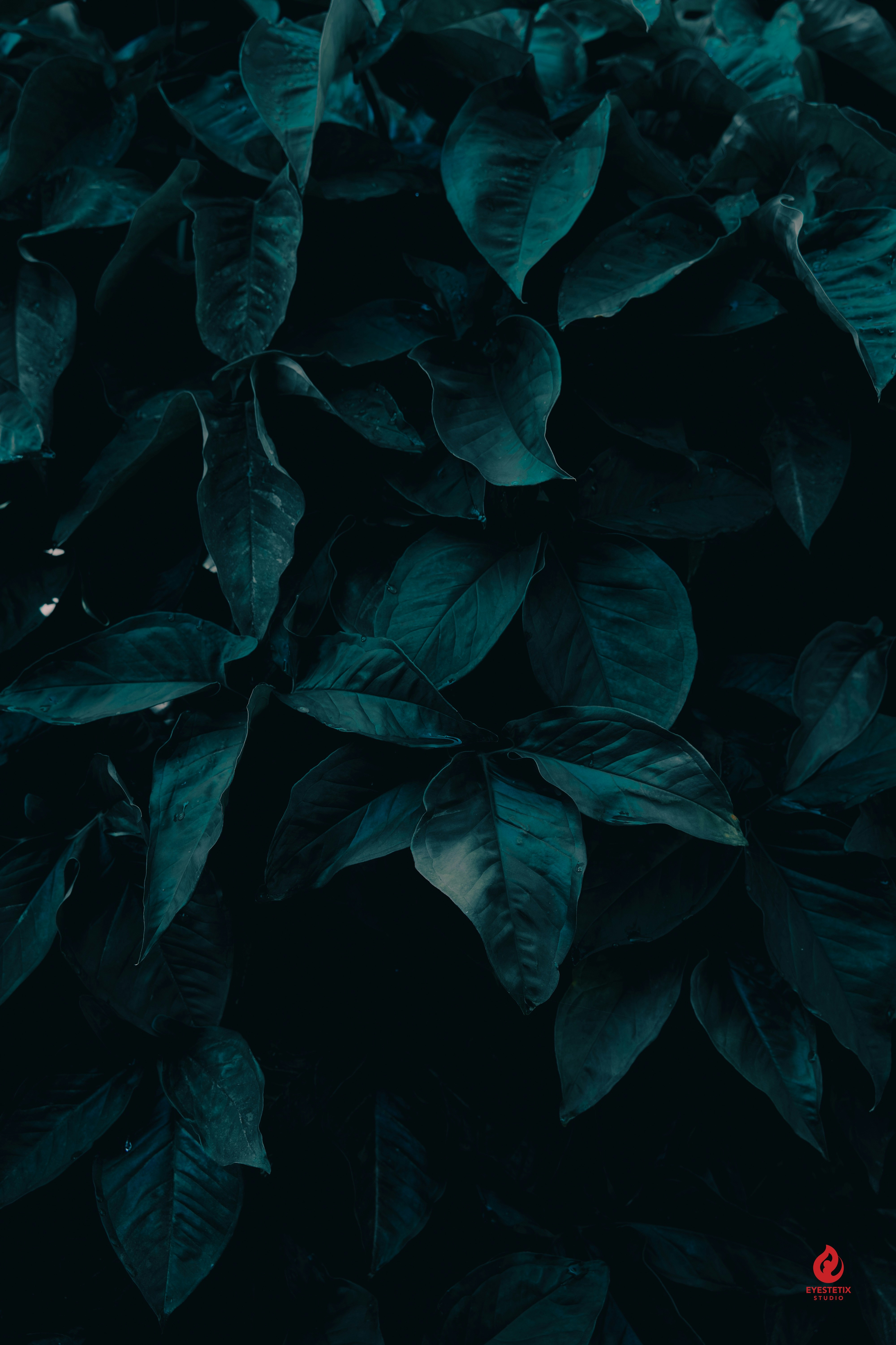 Photo by eyestetix_studio