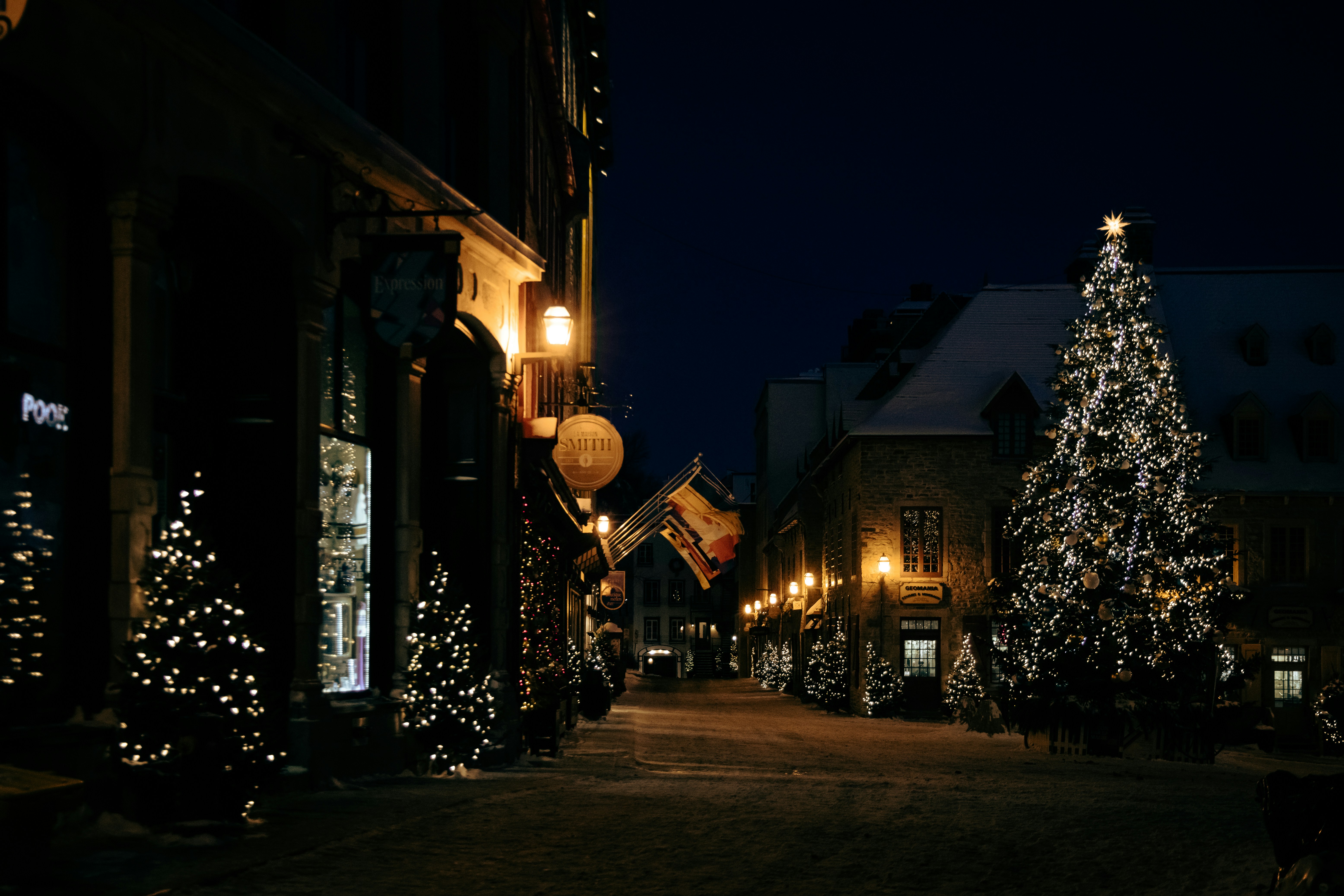Árboles de Navidad decorados bordean una calle por la noche.