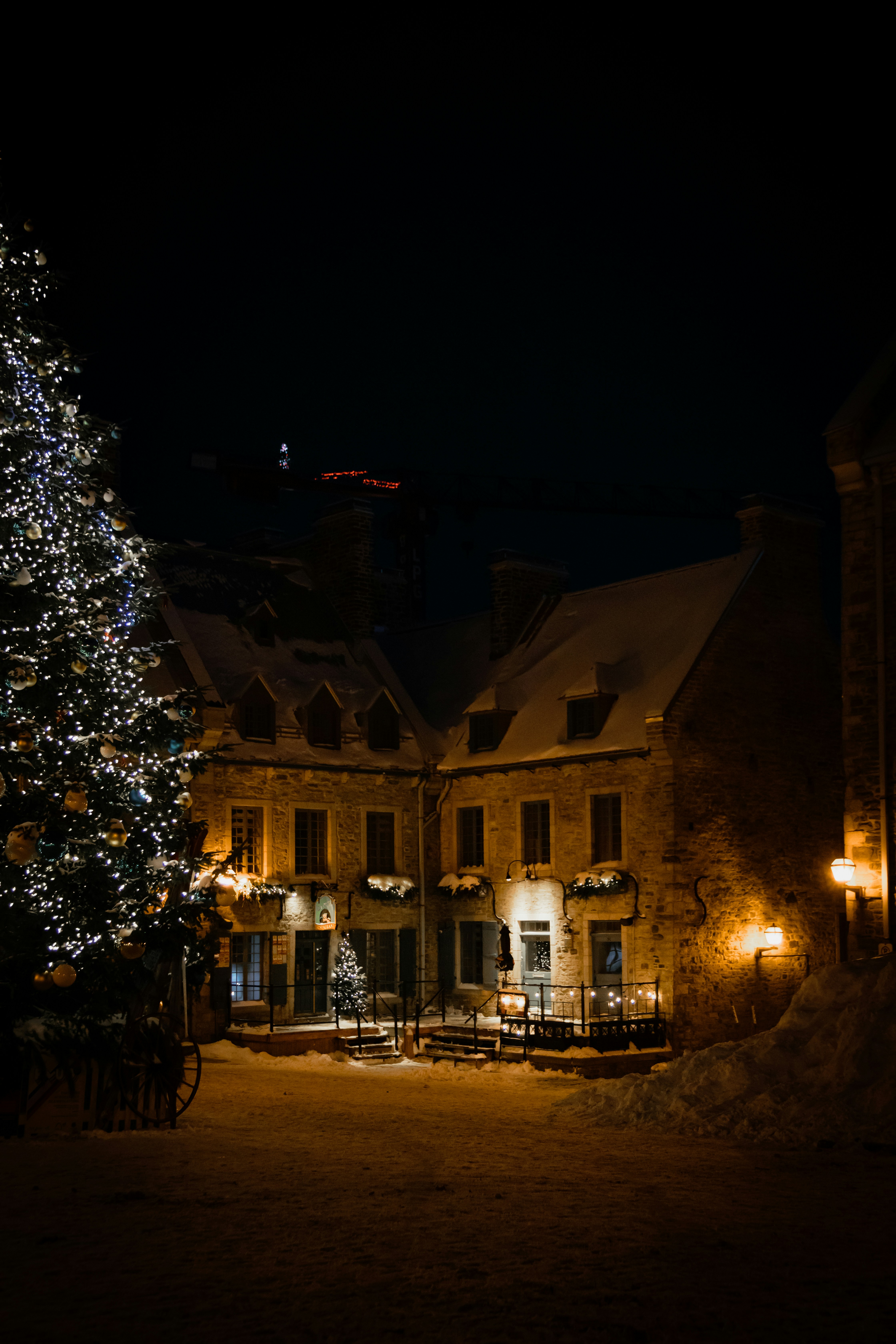 Edificios nevados y árbol de Navidad decorado por la noche