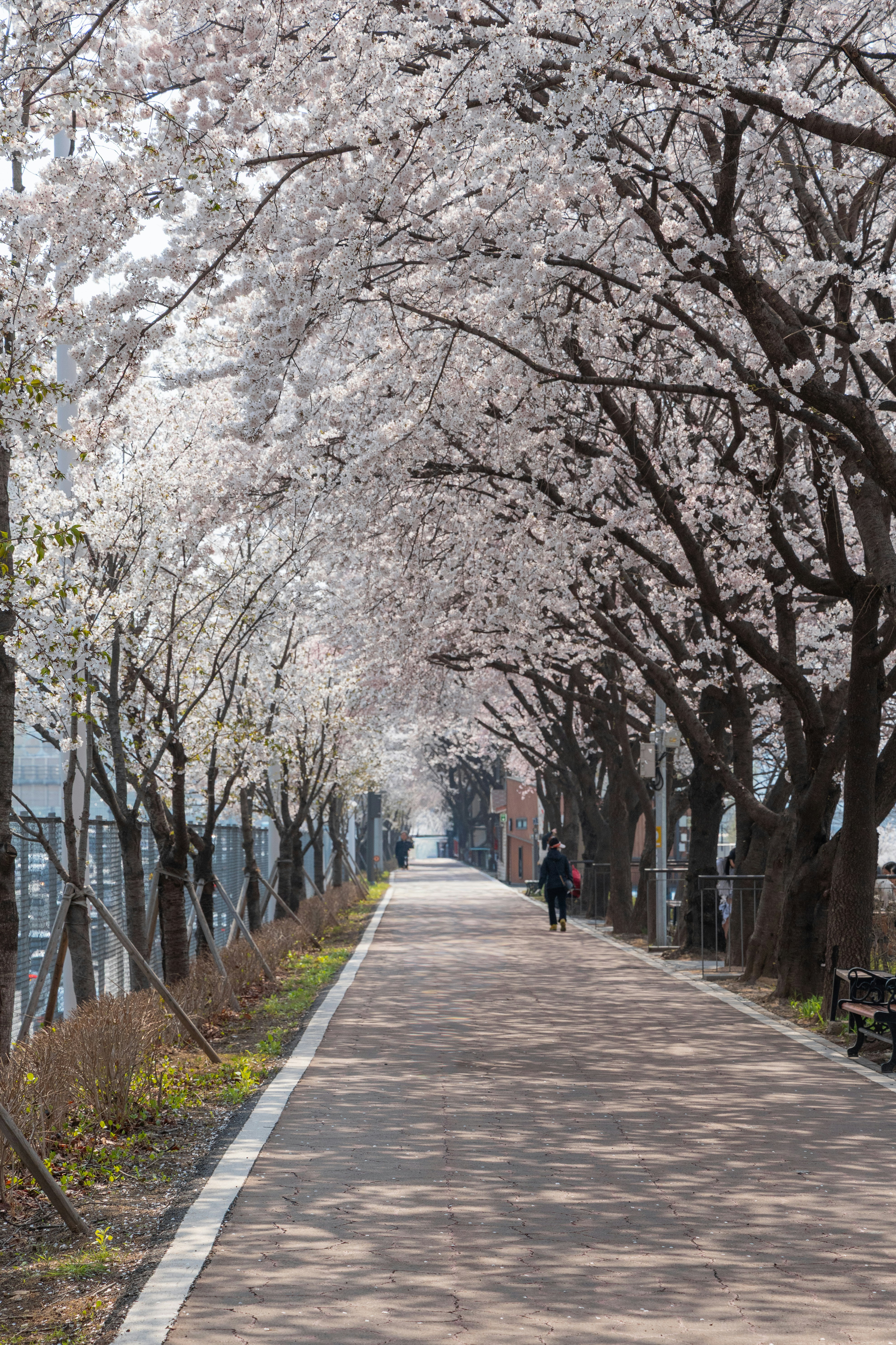 Photo by seoul_lover_lily