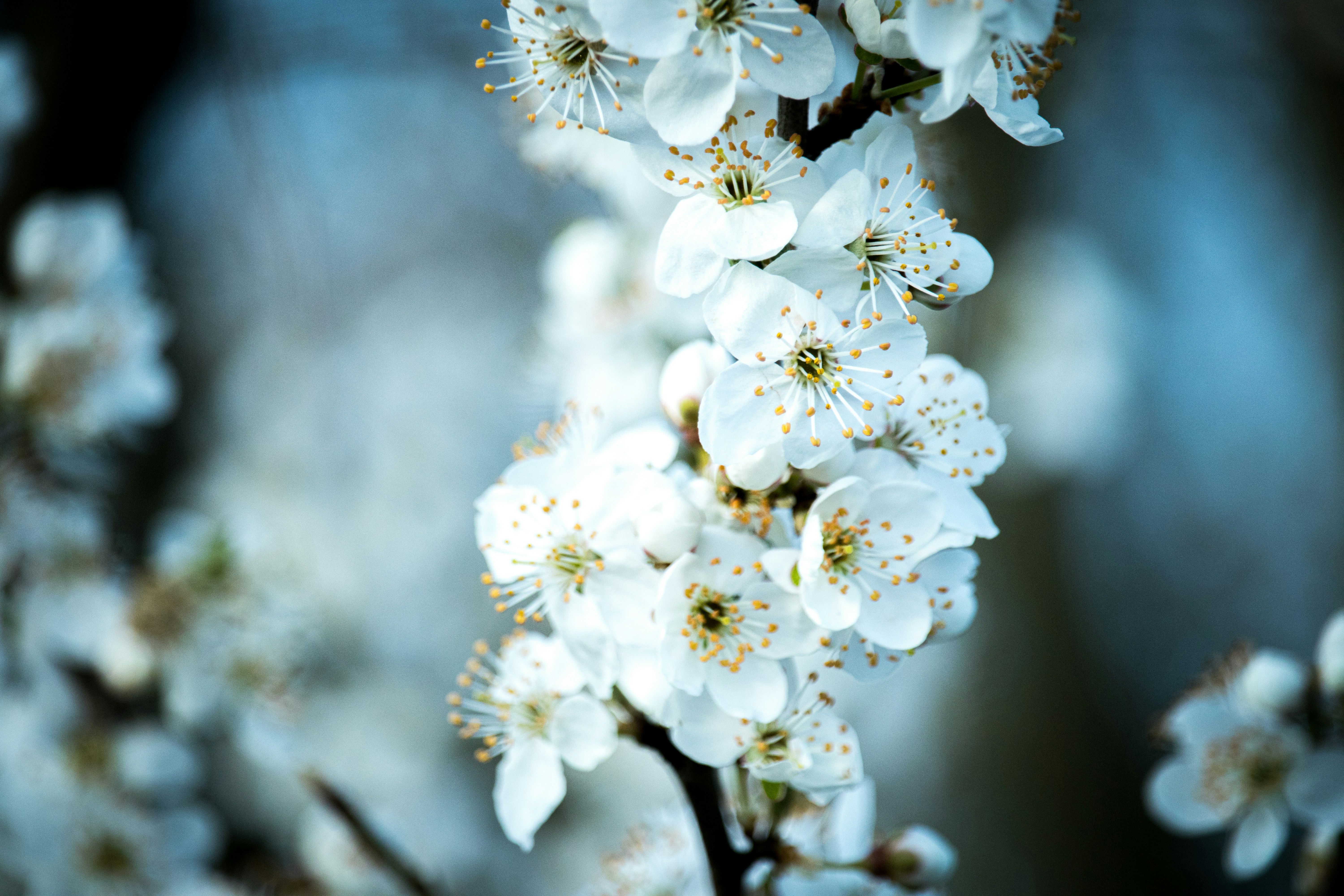 Photo by artur_luczka