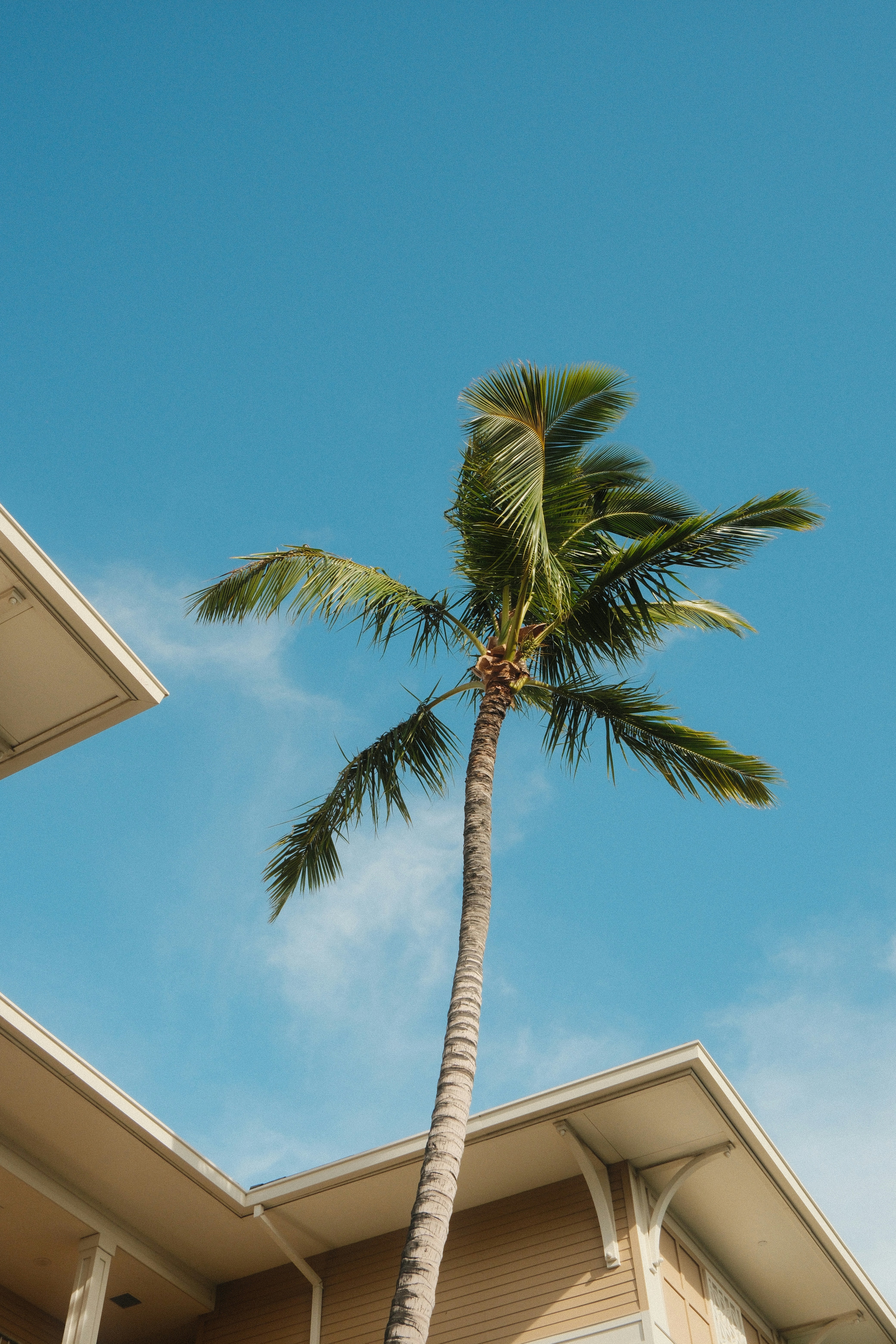 Photo by crewjohnsonofficial