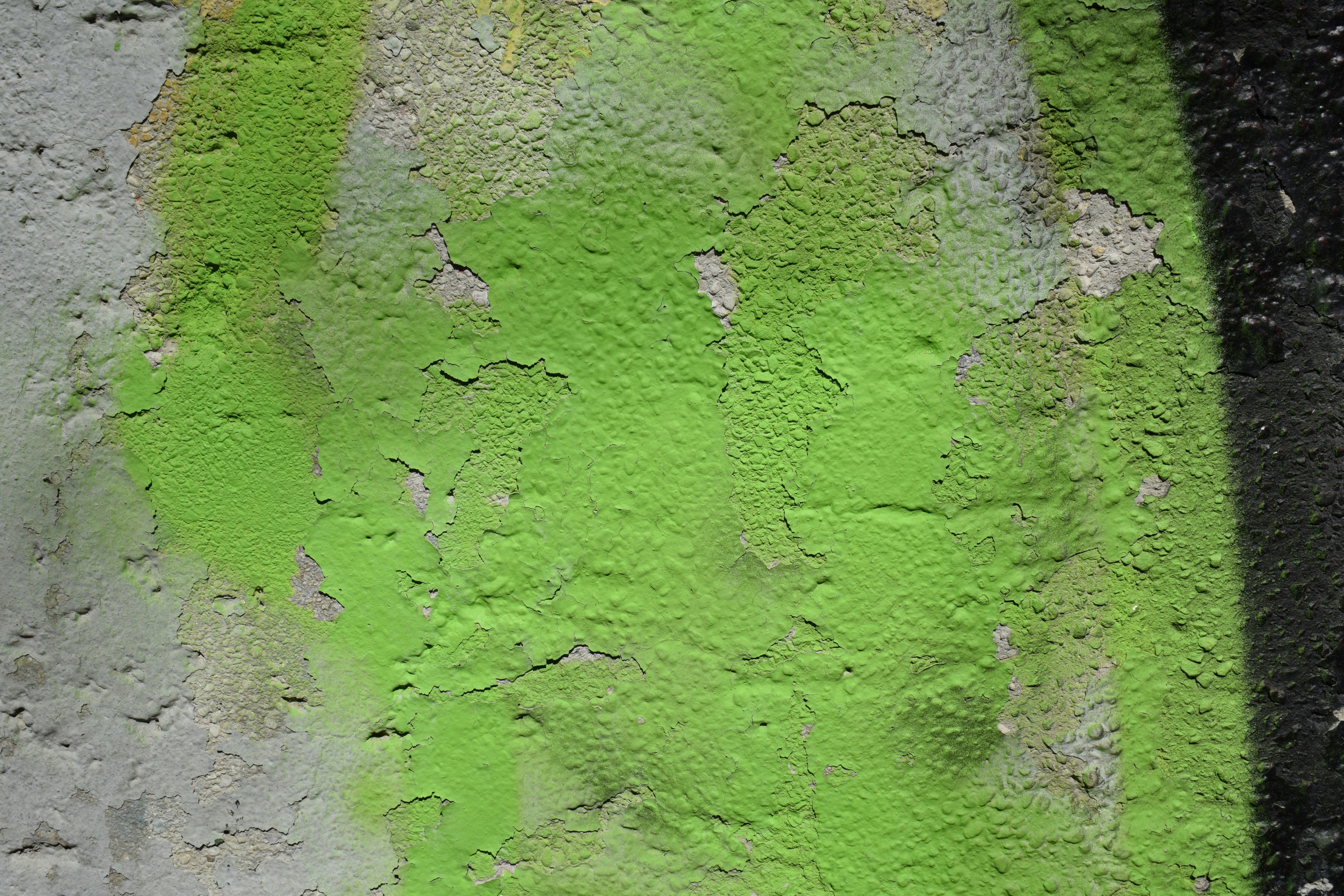 Pared de hormigón rugoso con pintura en spray verde brillante.