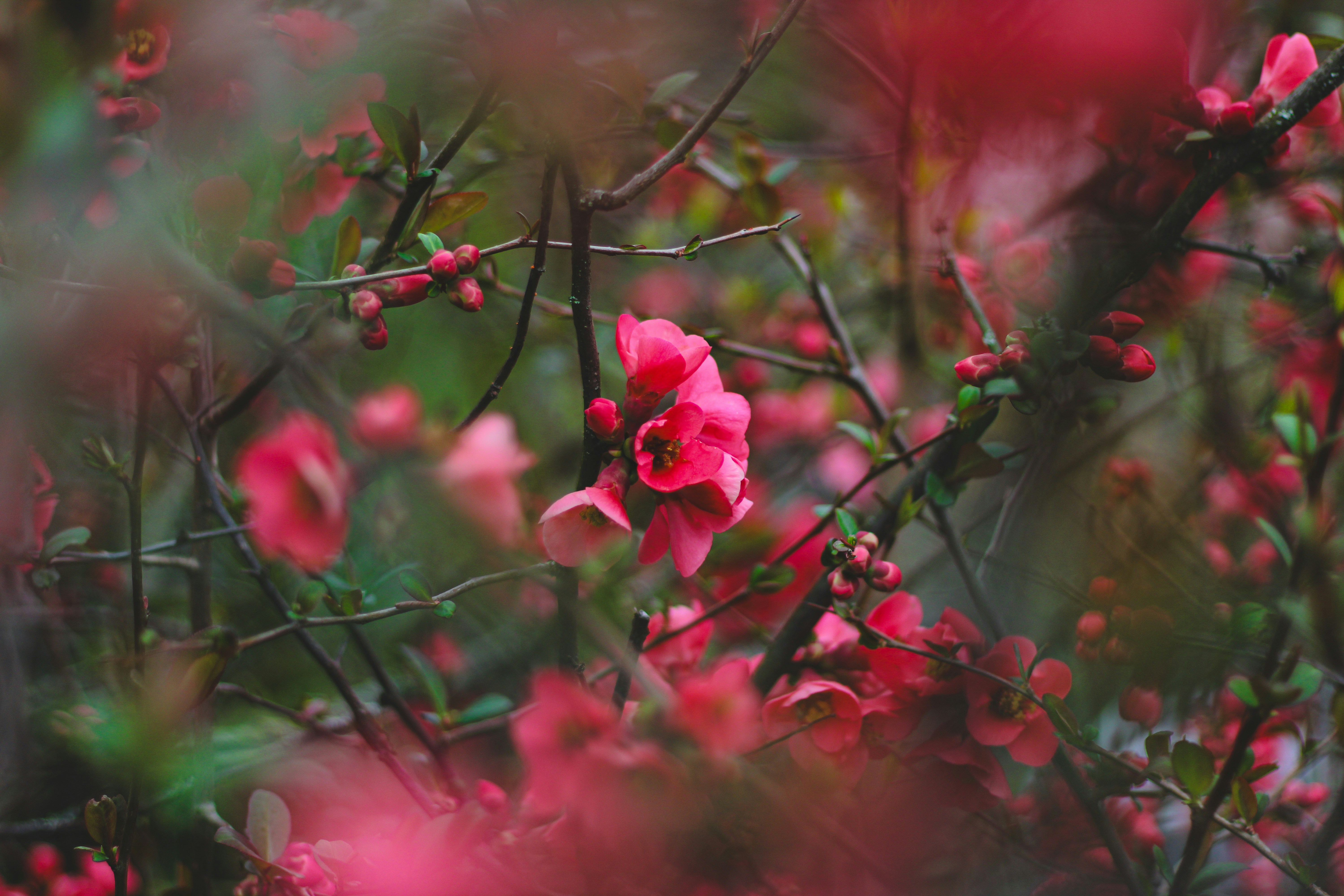 Photo by mohammad_ebesh