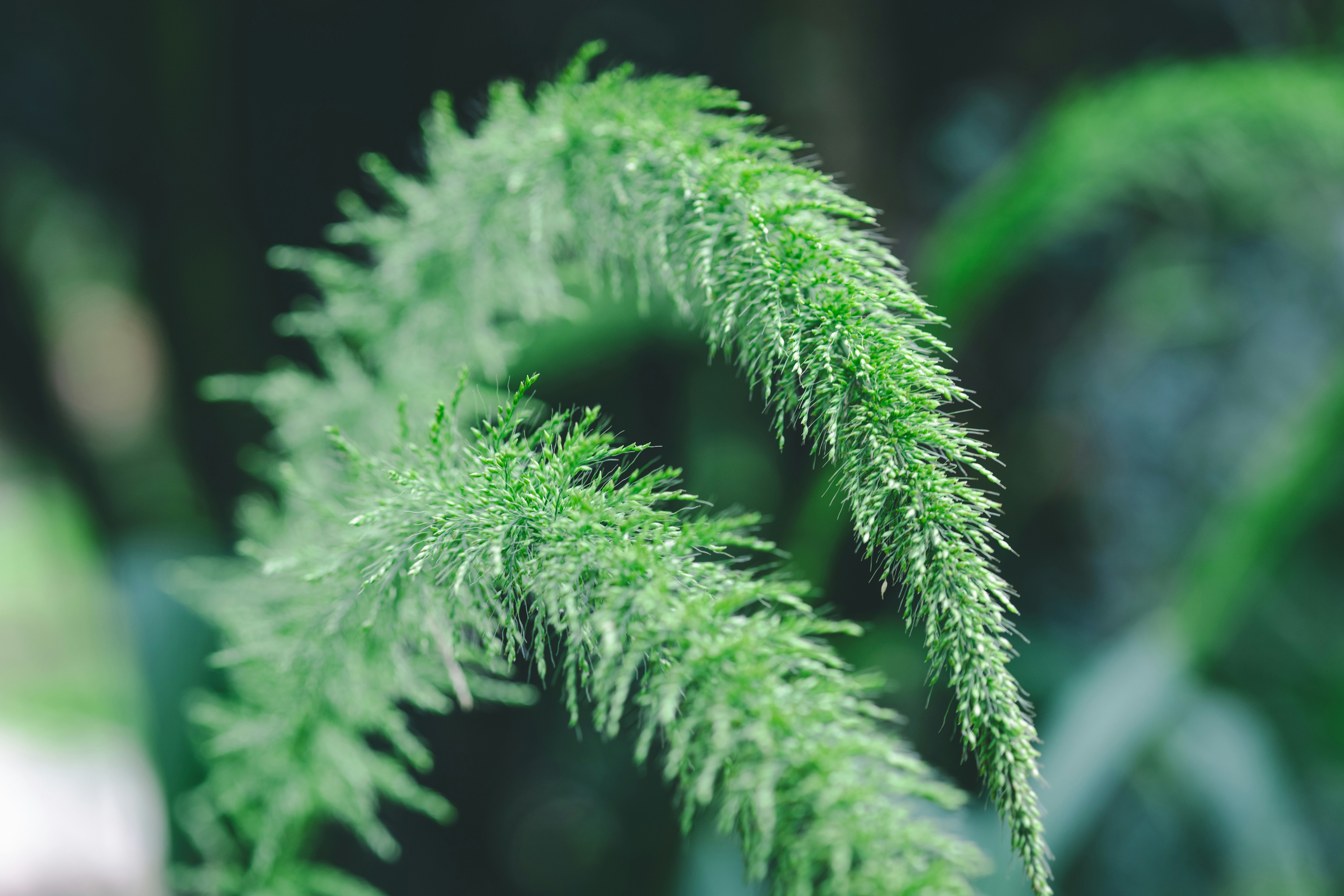 Photo by rrodriguesim