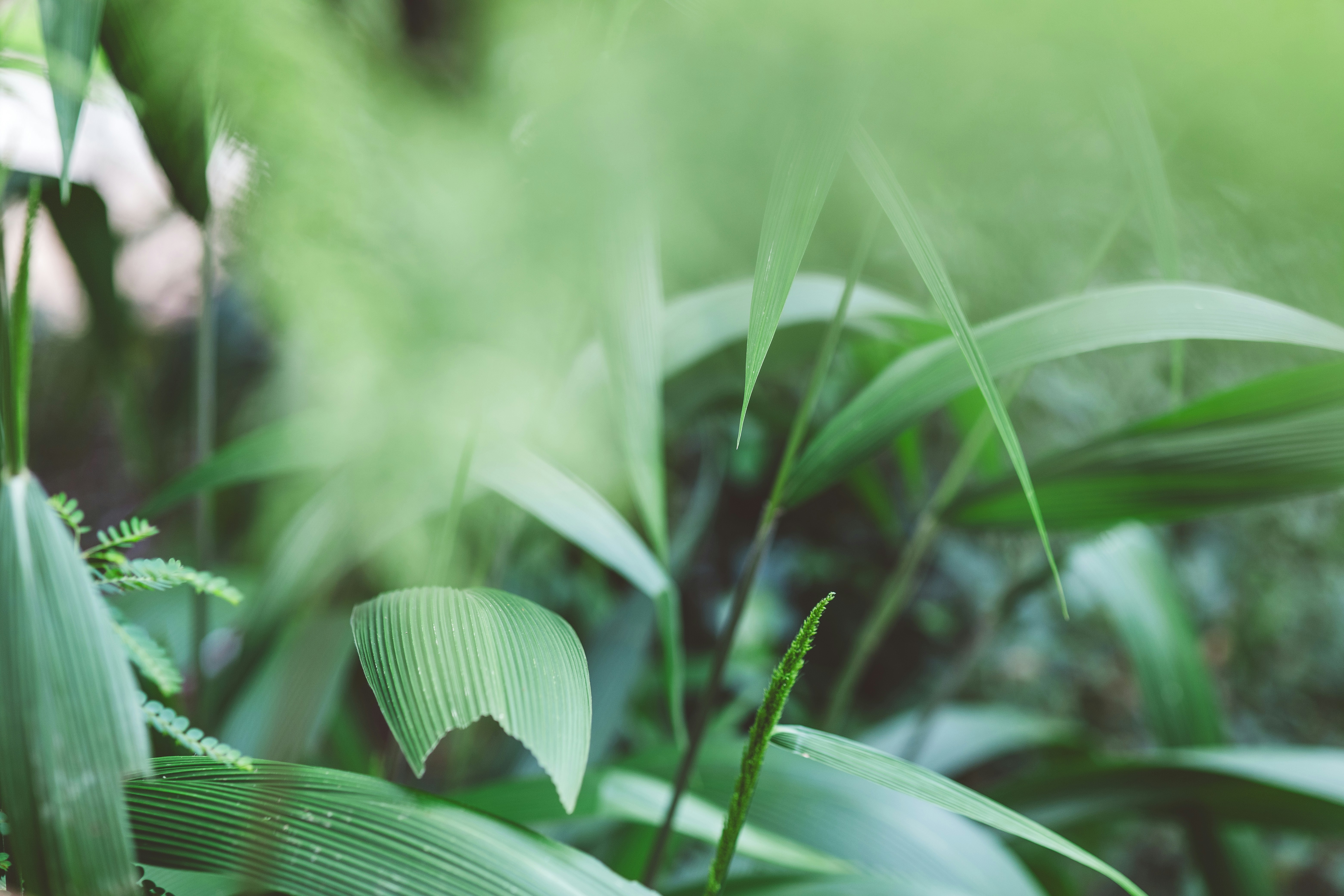 Photo by rrodriguesim