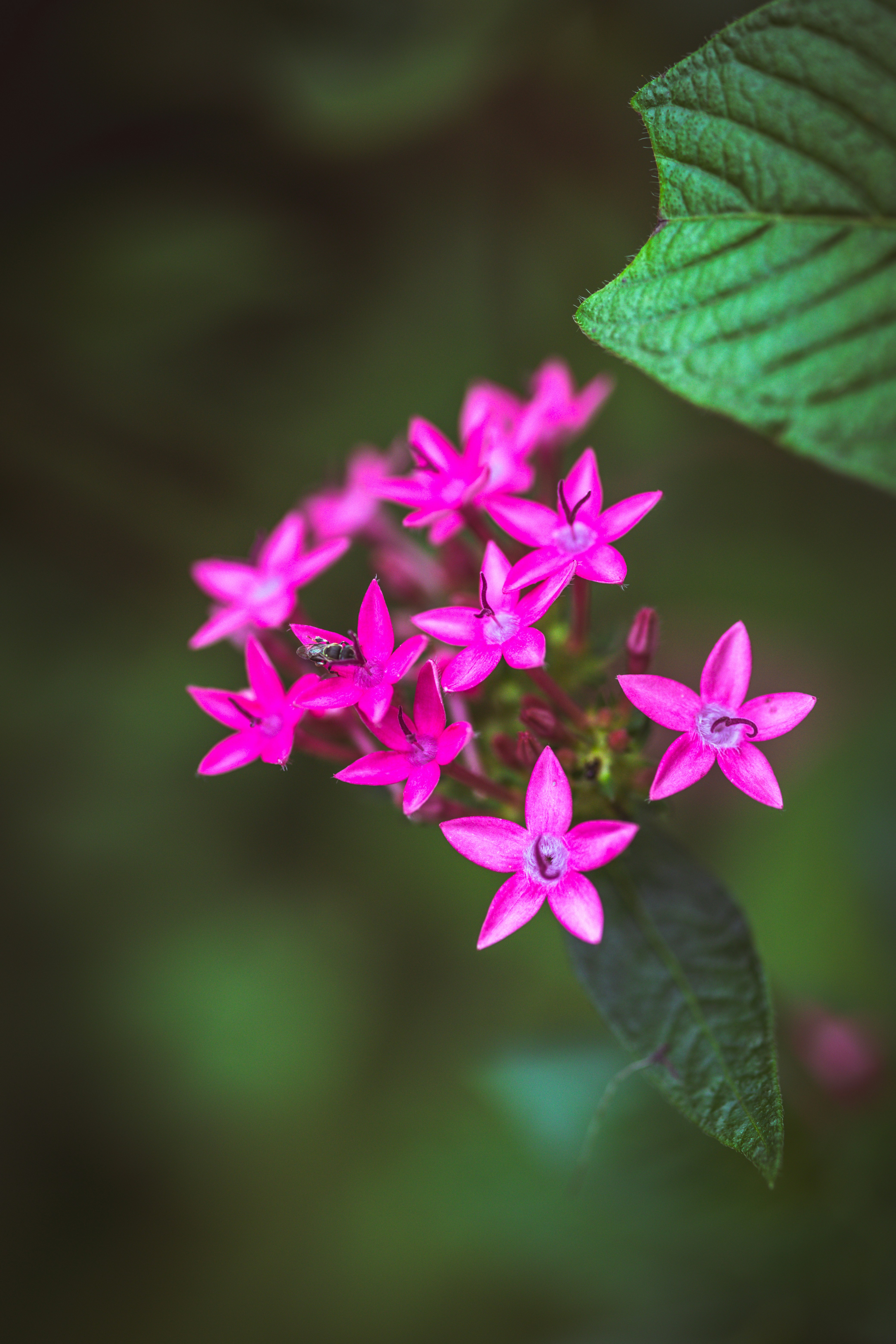 Photo by rrodriguesim