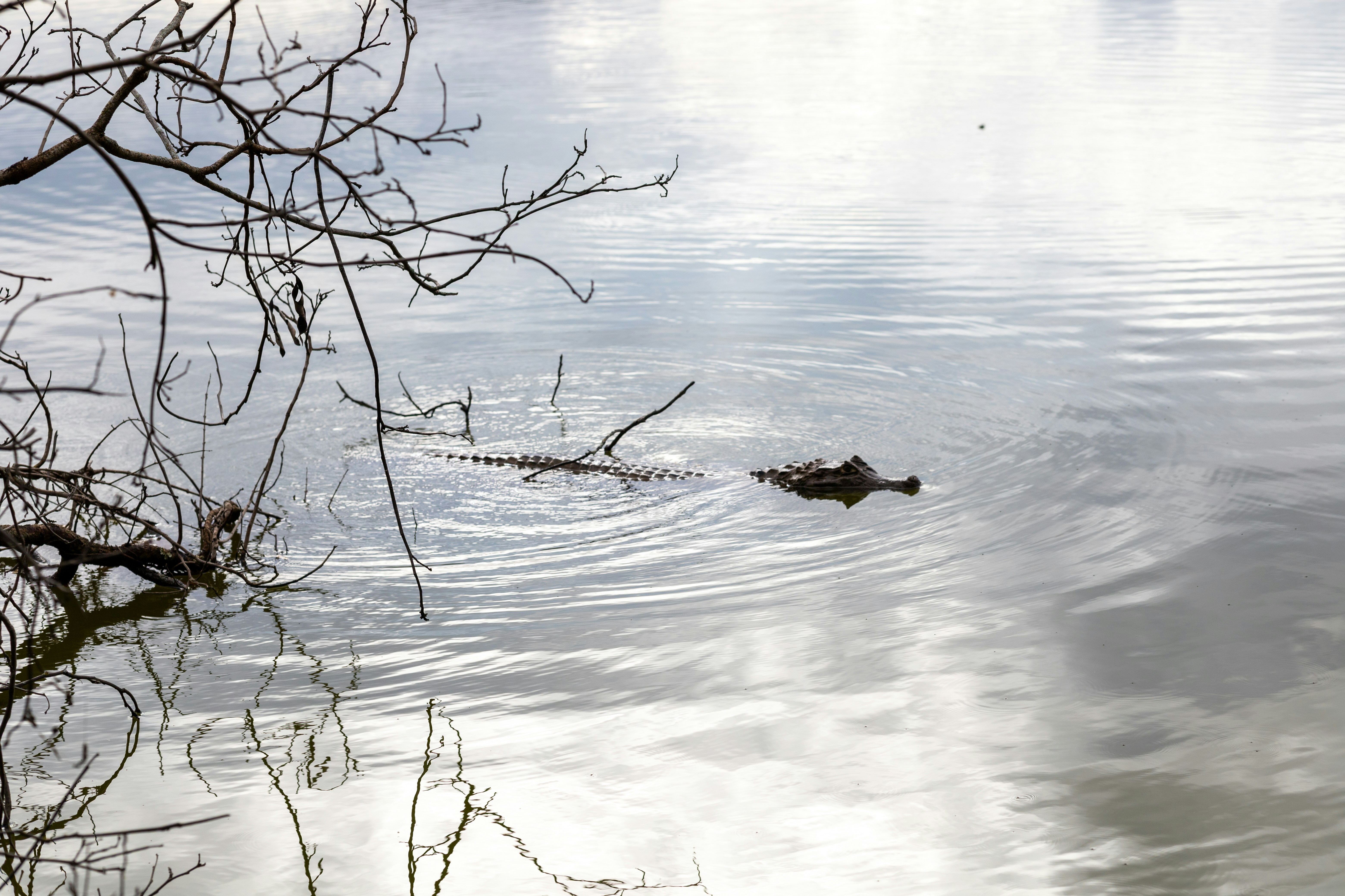 Photo by rrodriguesim