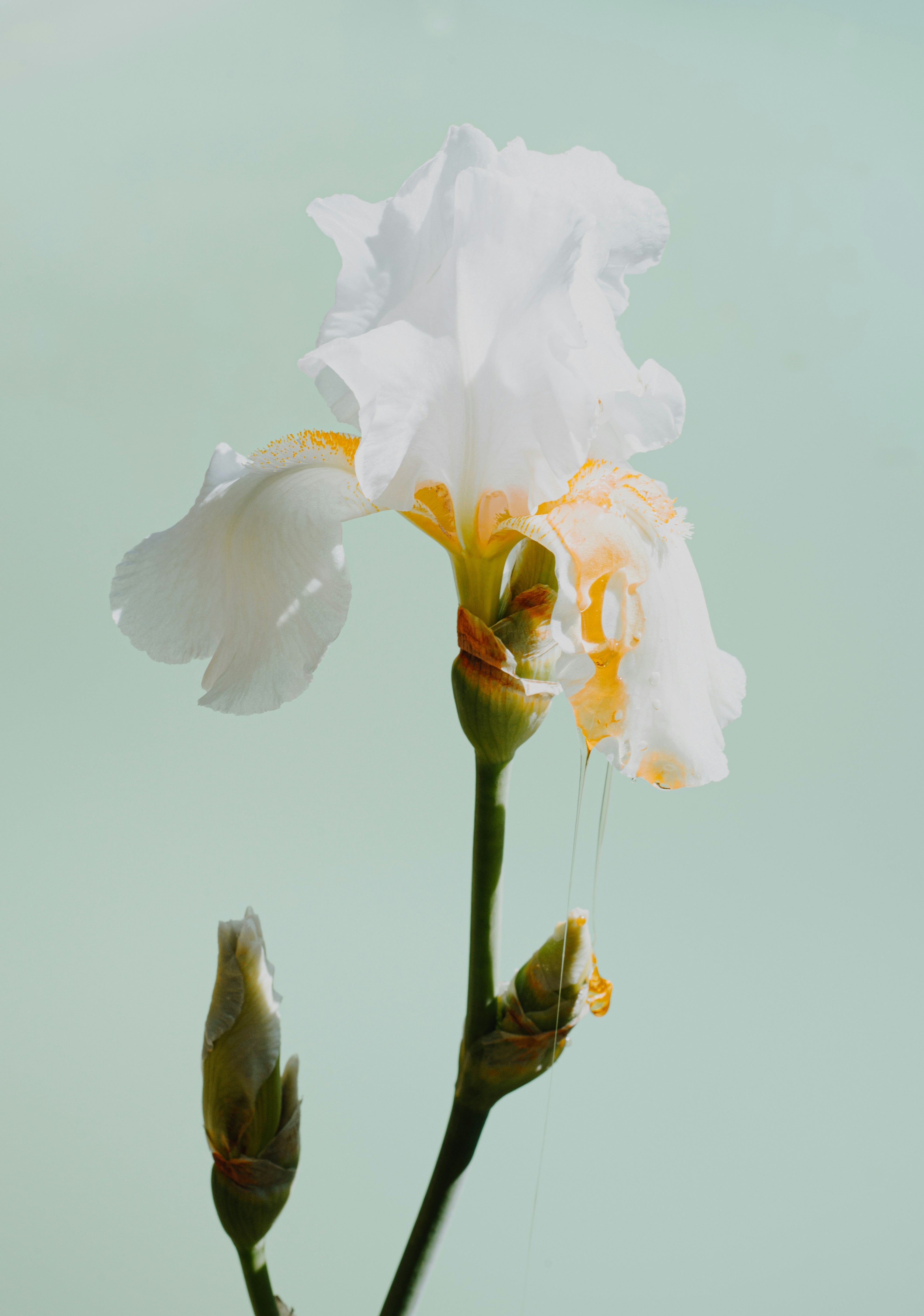 Photo by evieshaffer