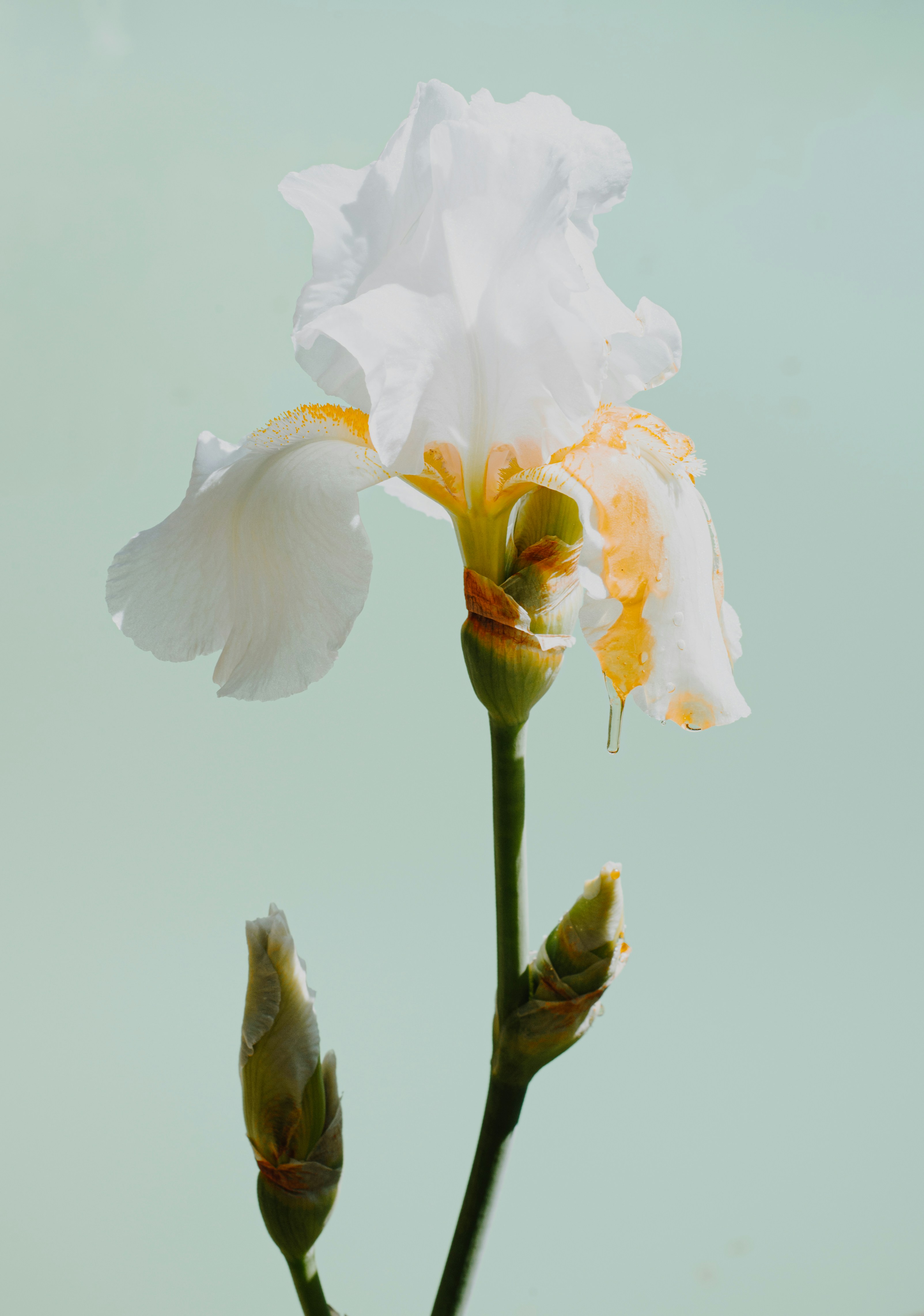 Photo by evieshaffer