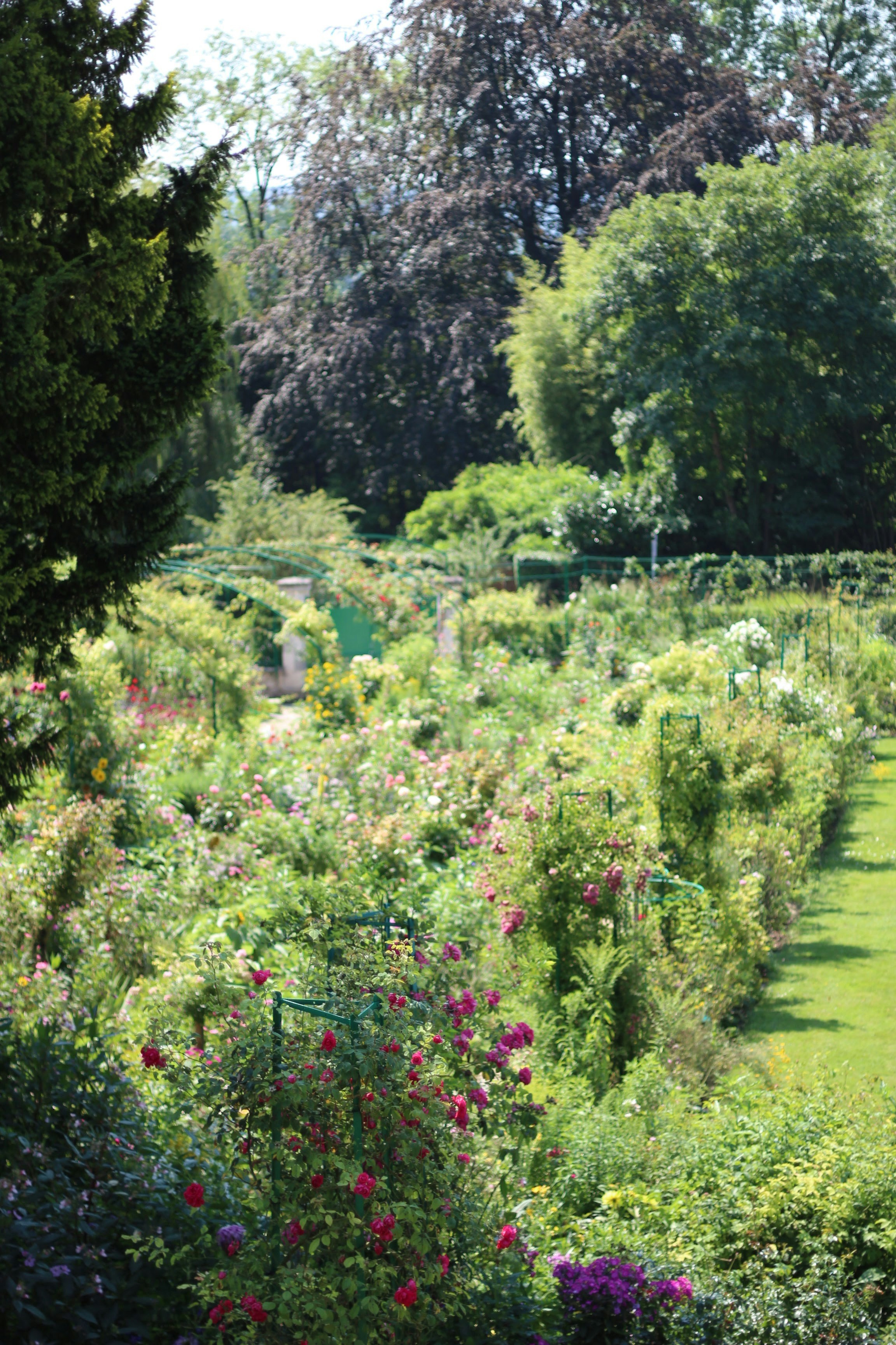 Photo by albertolung