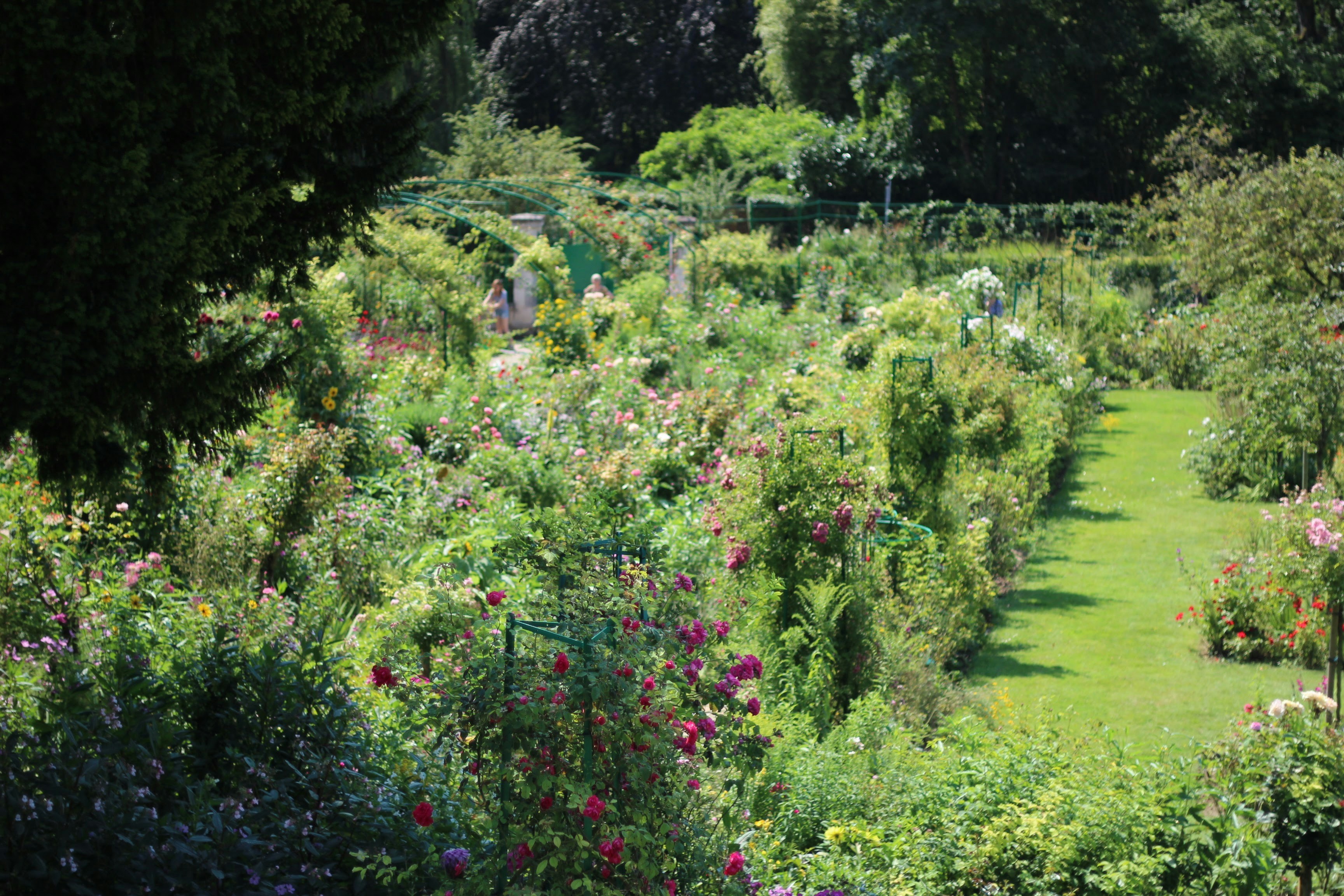 Photo by albertolung