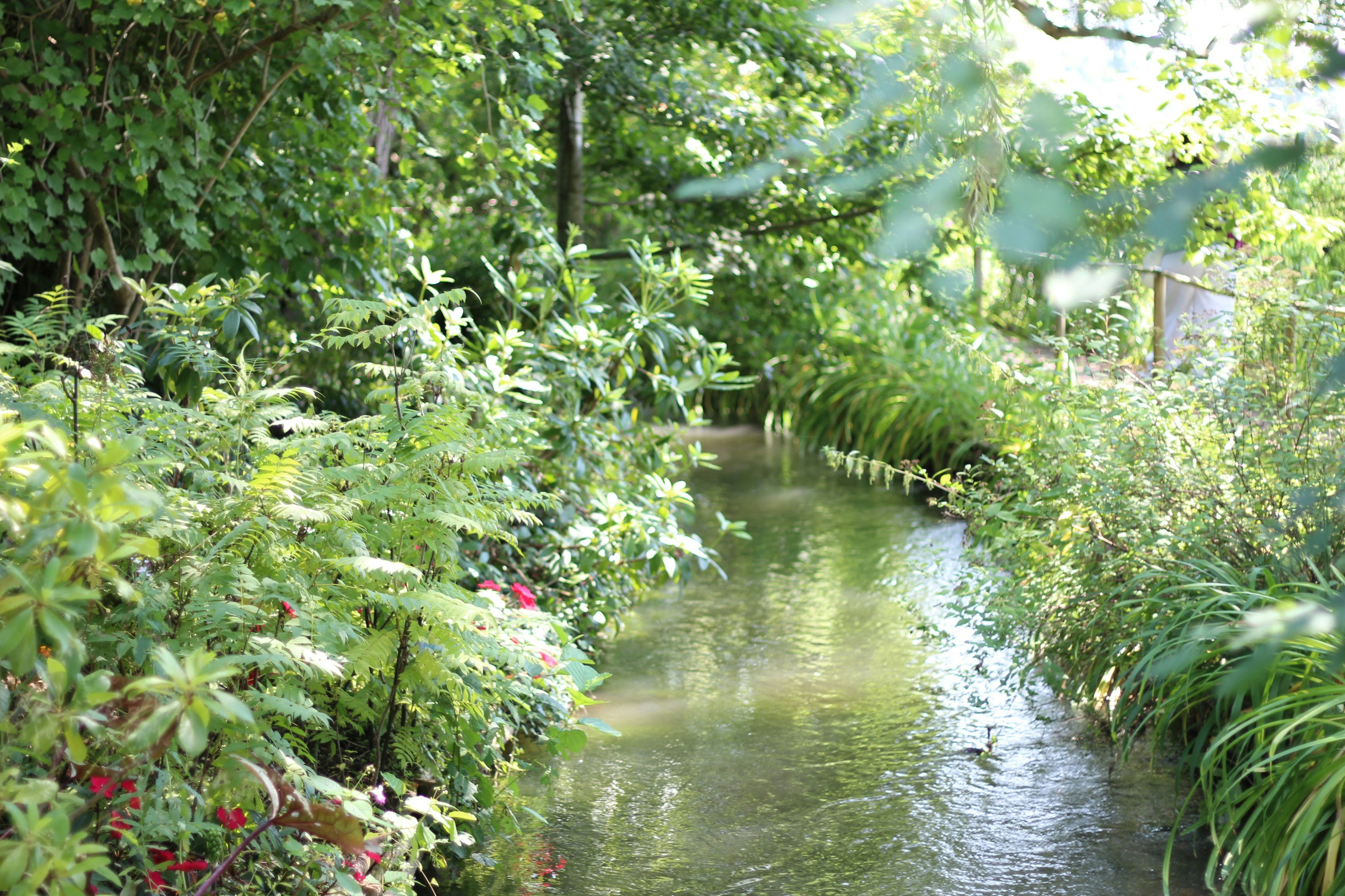 Photo by albertolung