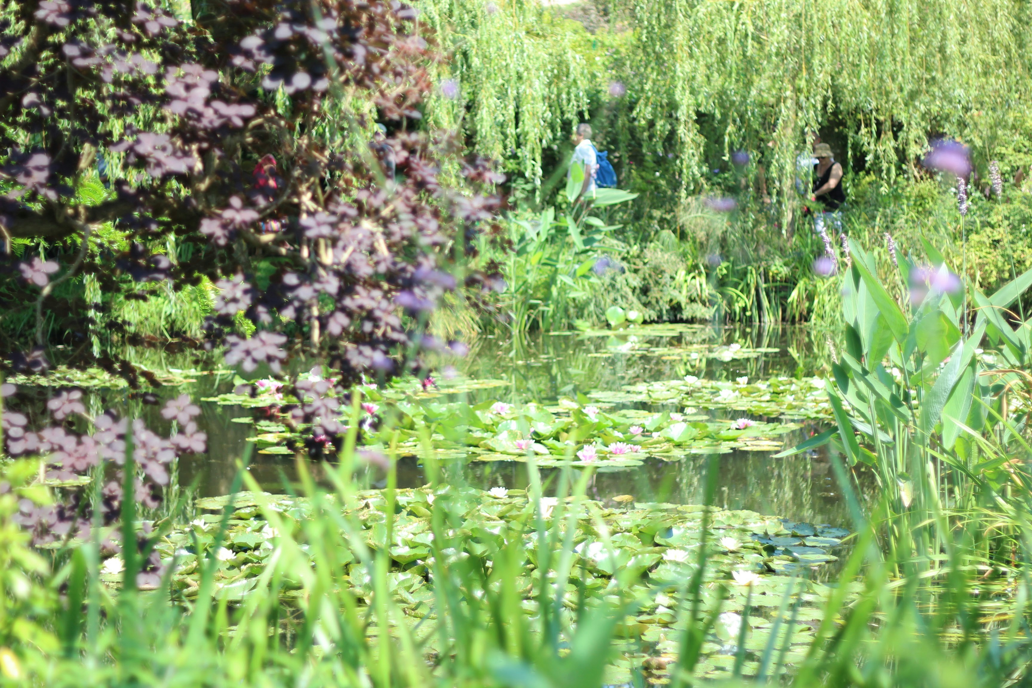 Les Jardins aquatiques