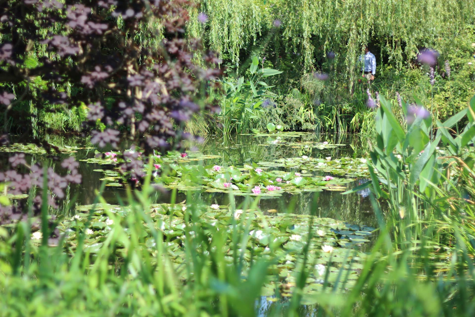Serene pond surrounded by lush greenery with lily pads and two people in background