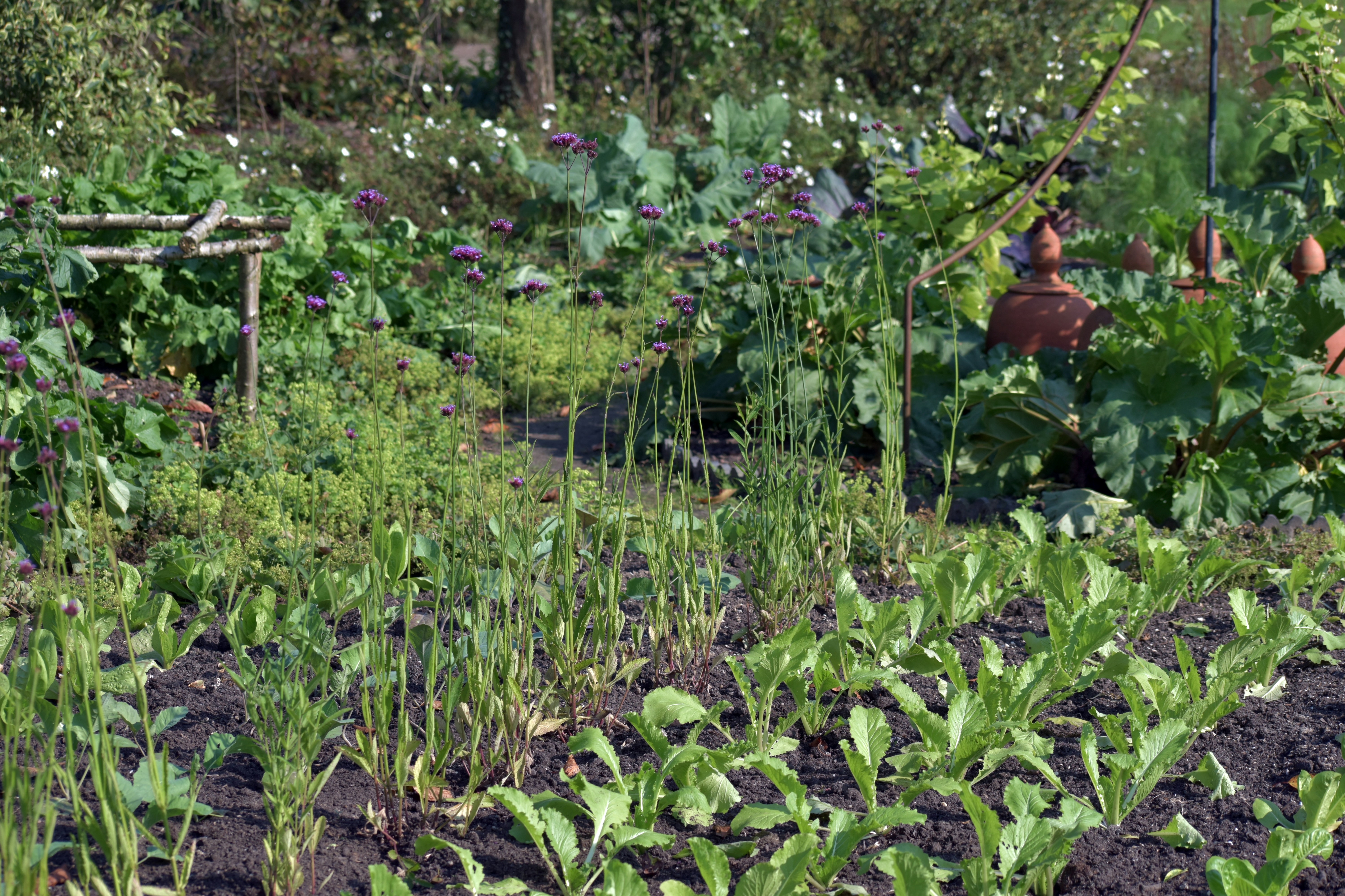 The Garden That Paid the Grocery Bill: When Growing Your Own Food Was Just Common Sense