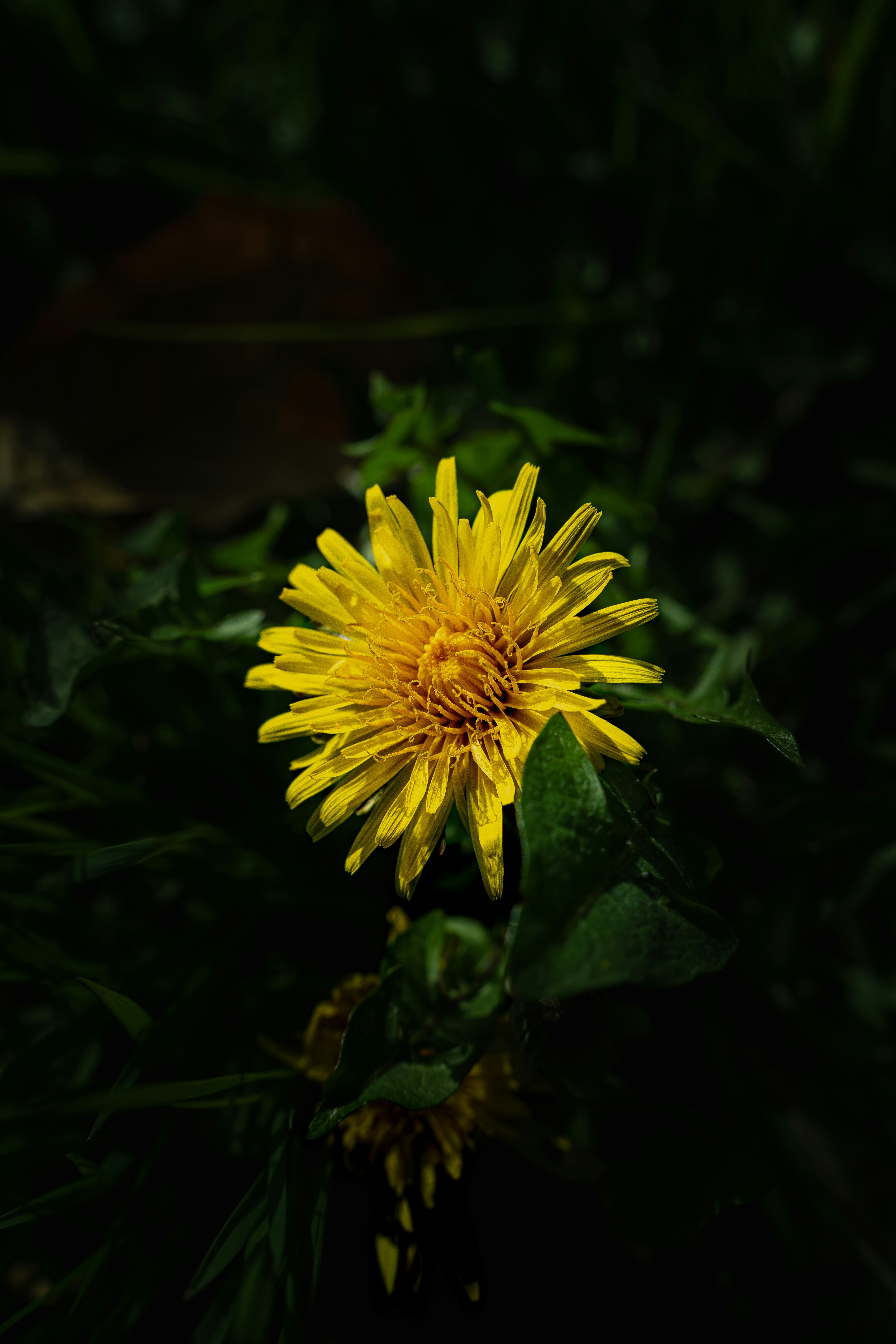 Photo by bingkok