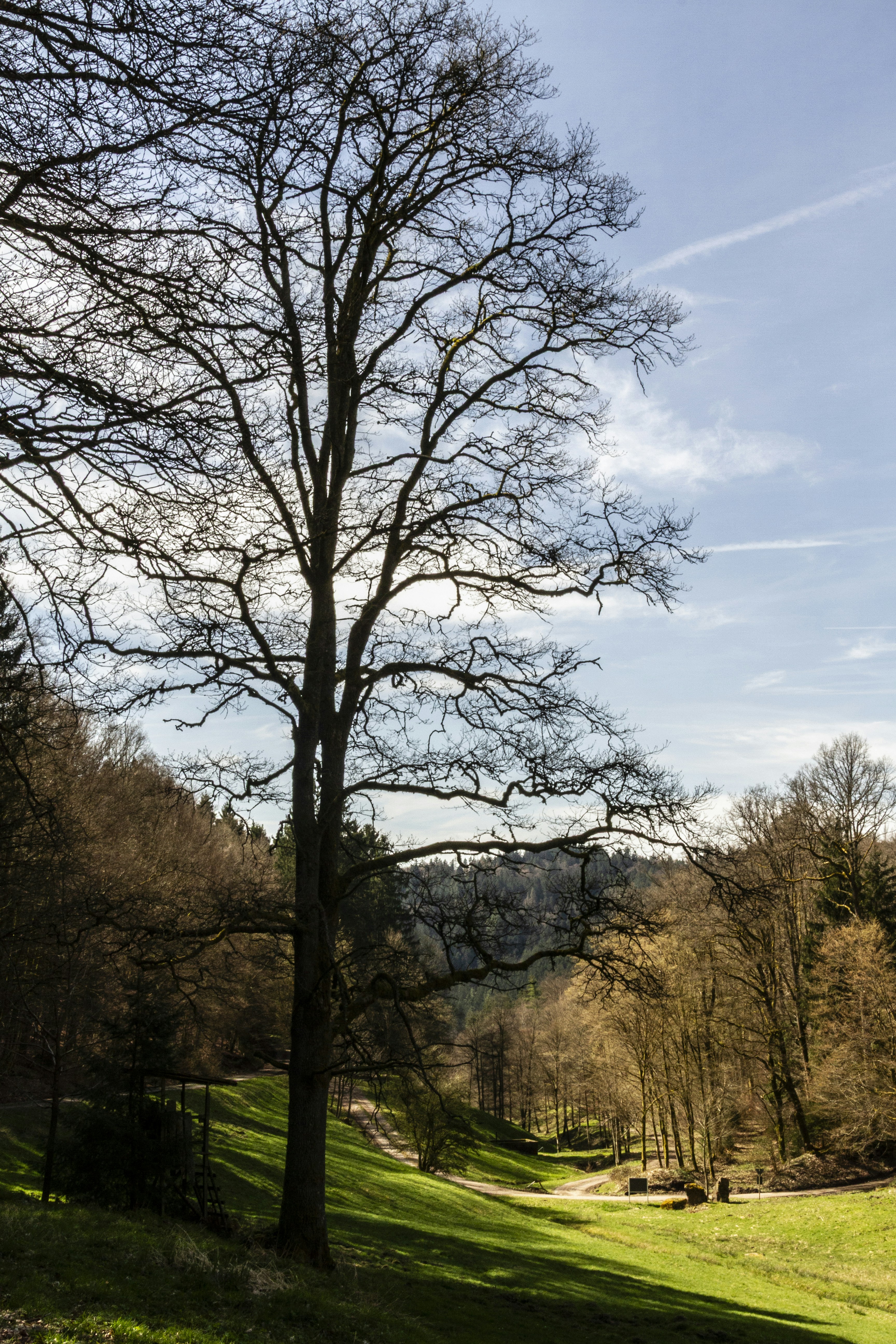 Getting There: Day Trips and Transport Tips