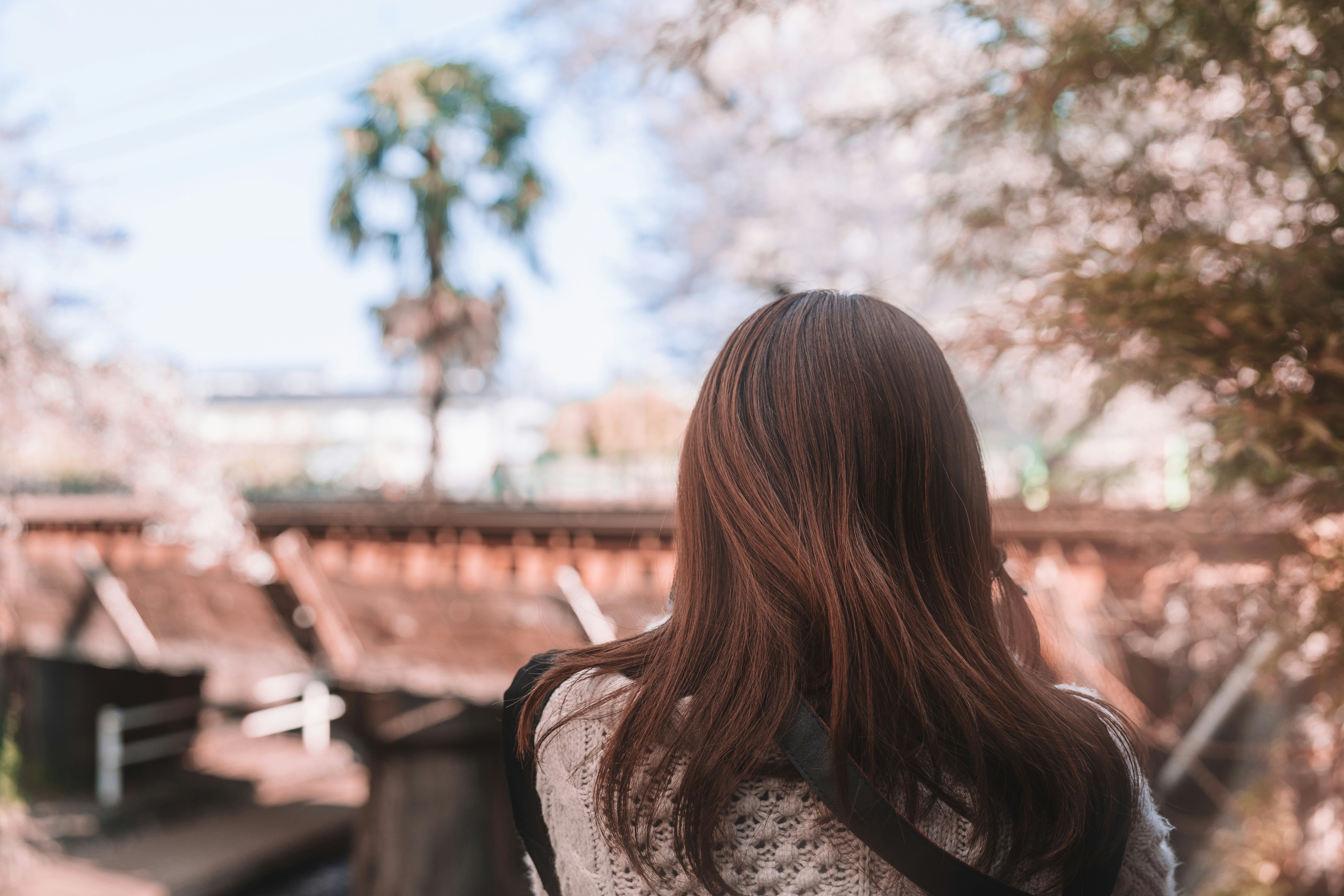 Femme regardant un paysage tropical