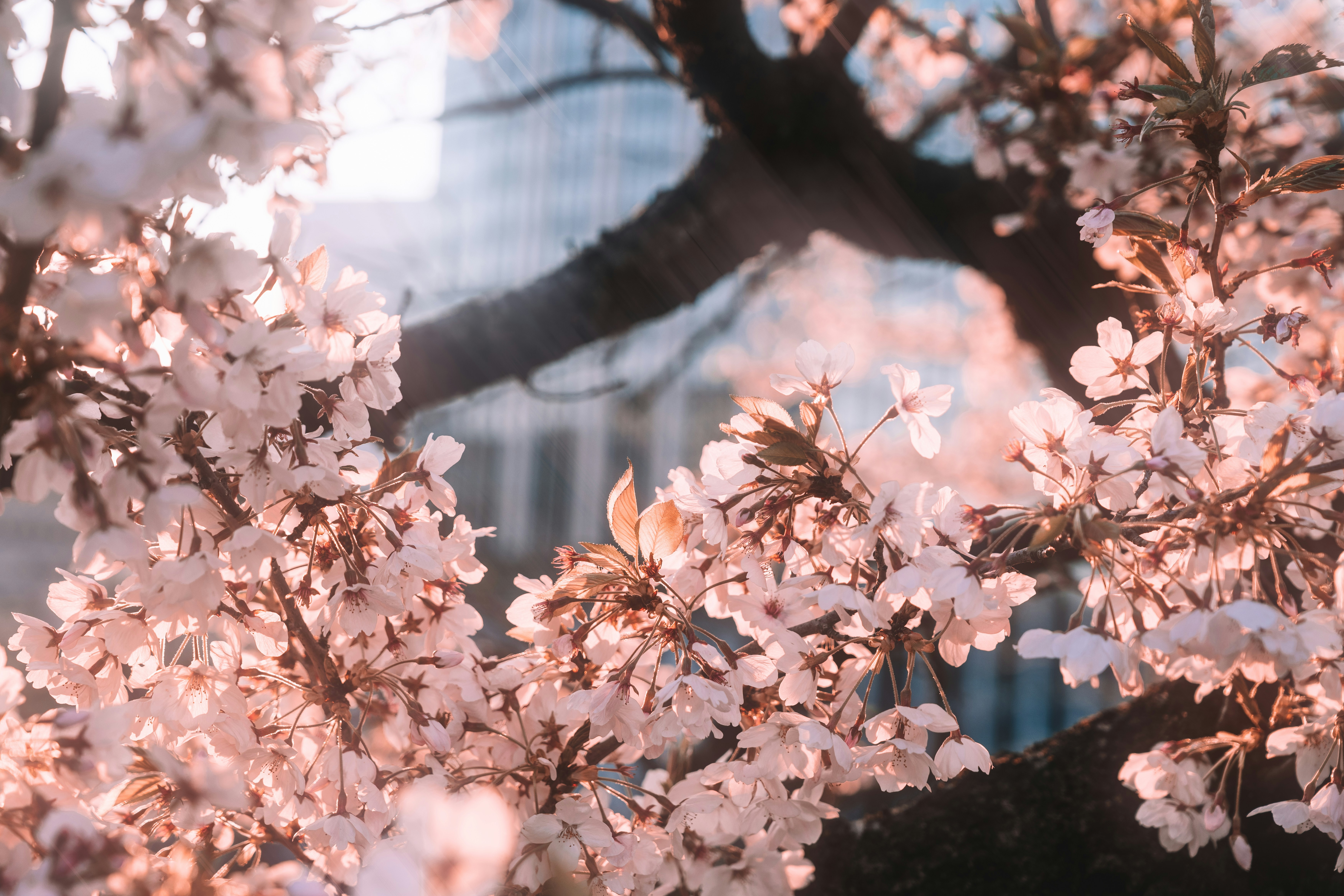 Photo by spensersembrat