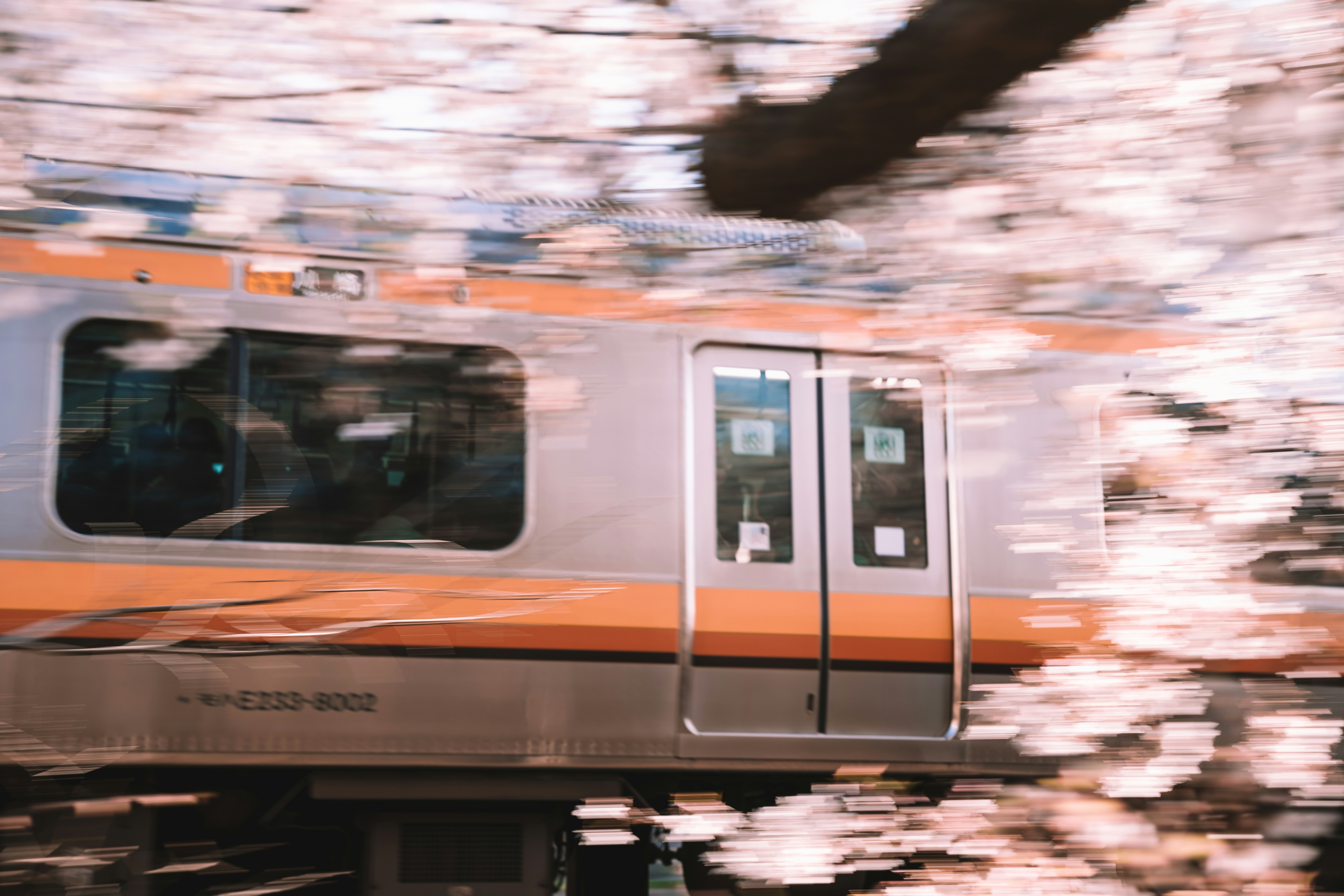 Train passant à travers des cerisiers en fleurs en flèche