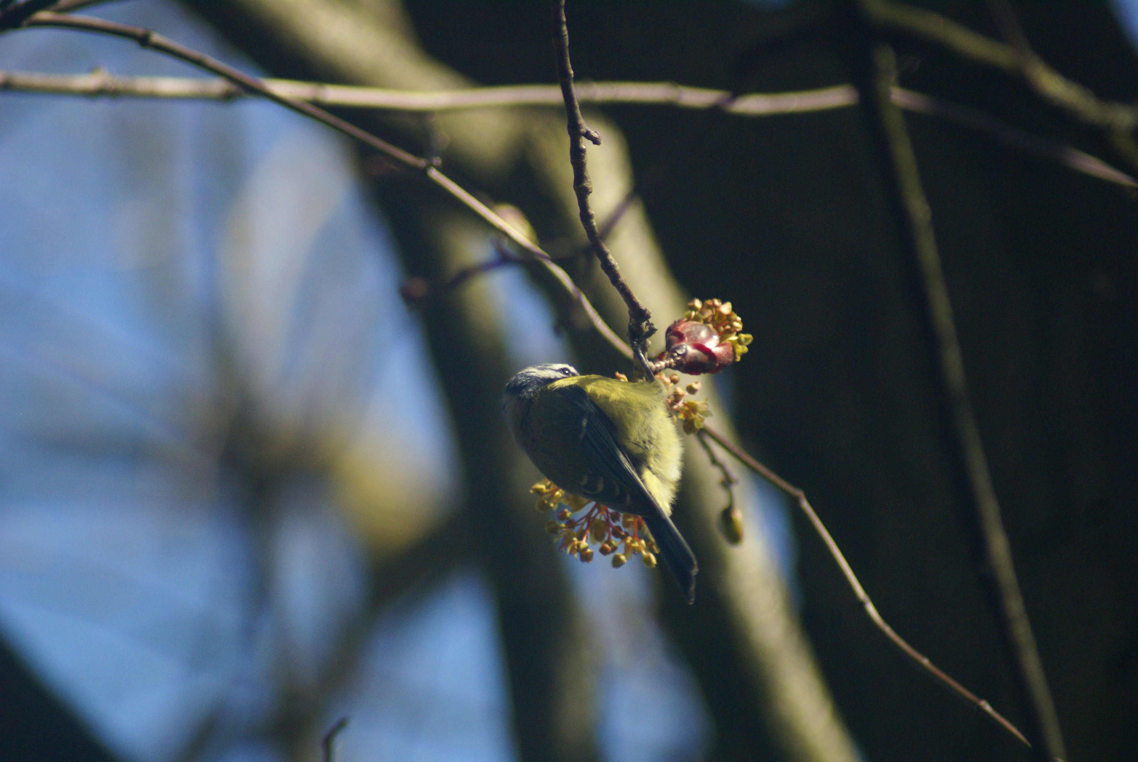 Photo by cehphotography64