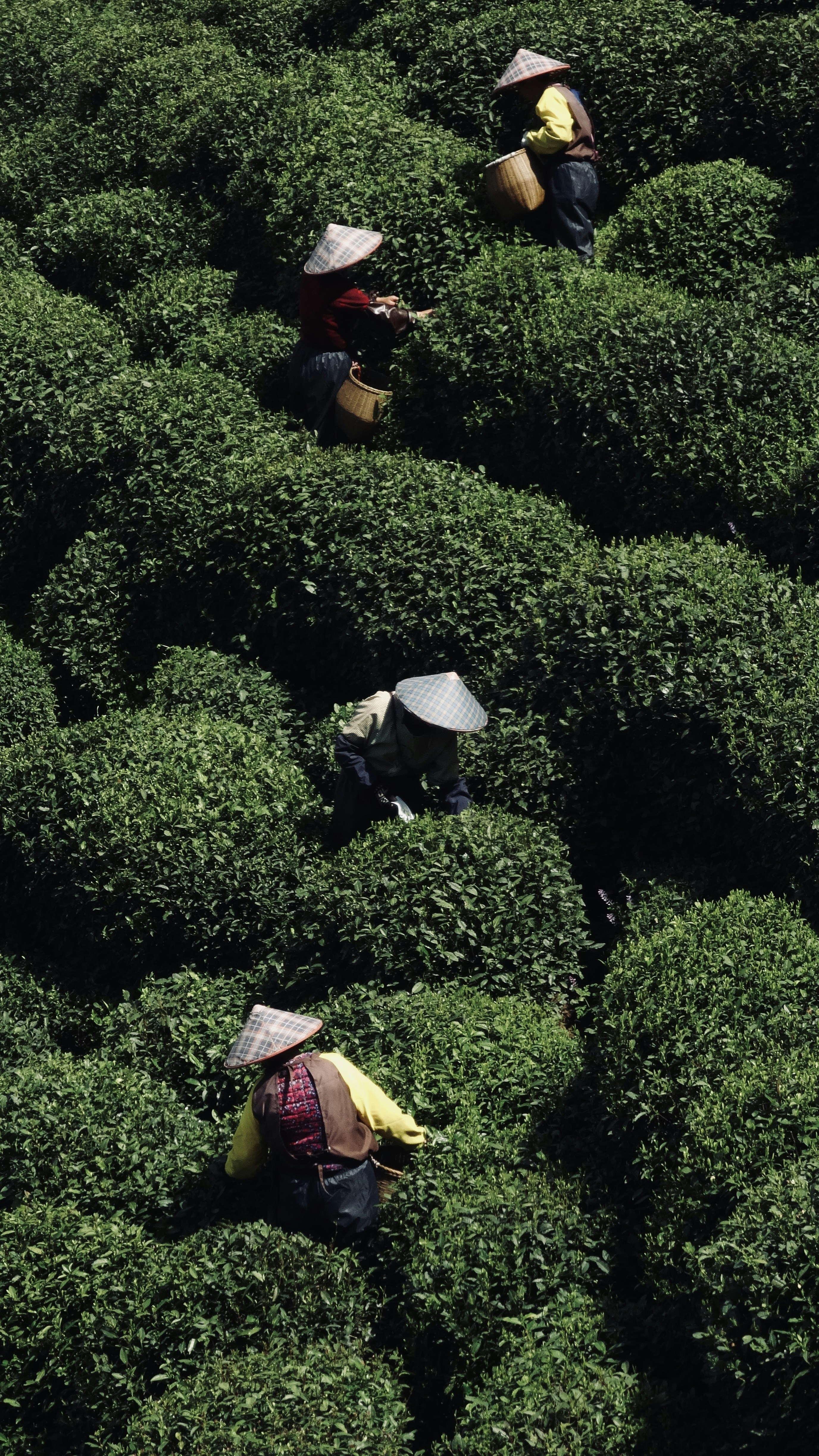 Photo by feifeiliang