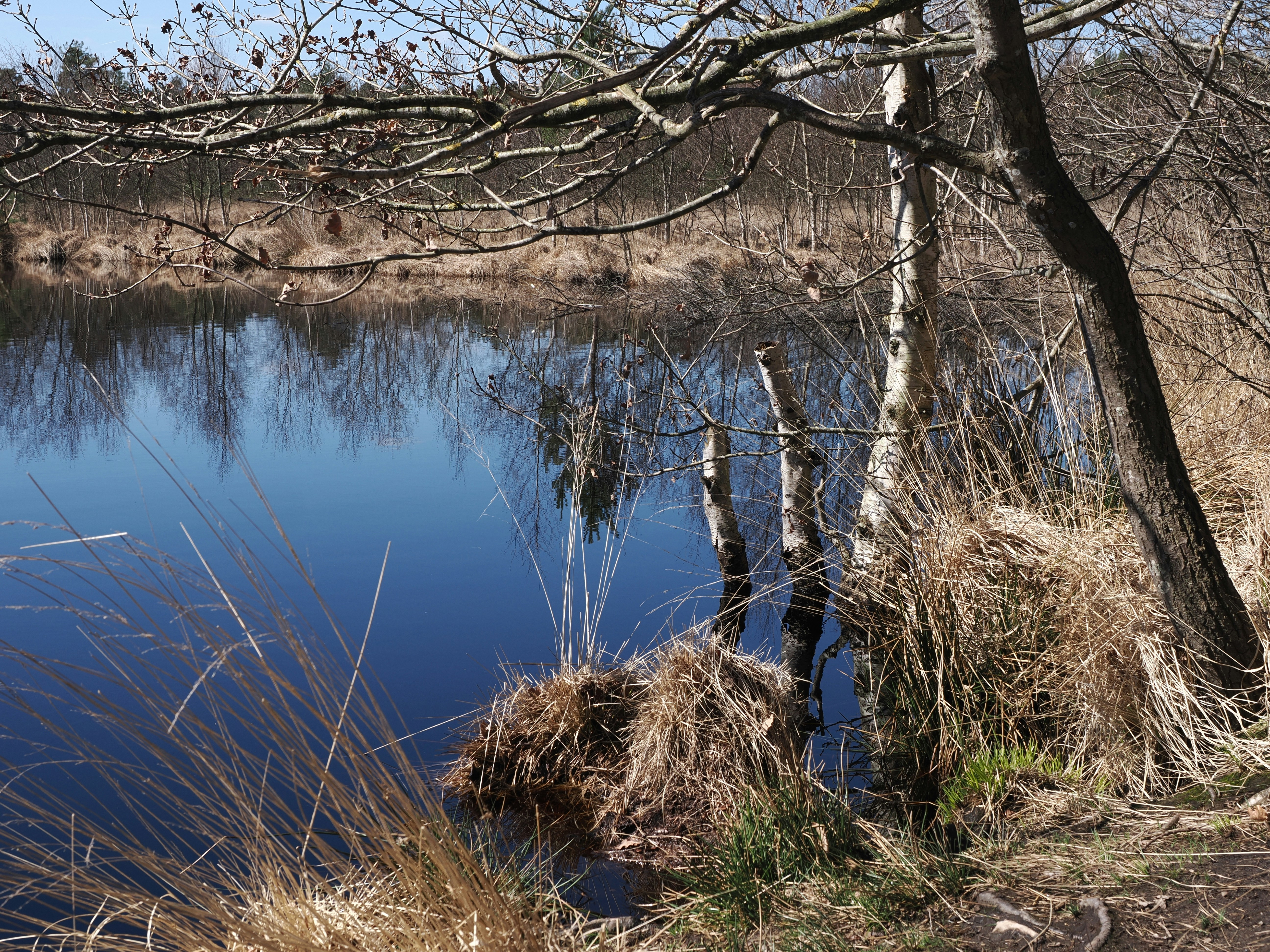 Photo by fotografie_thomas_nolte