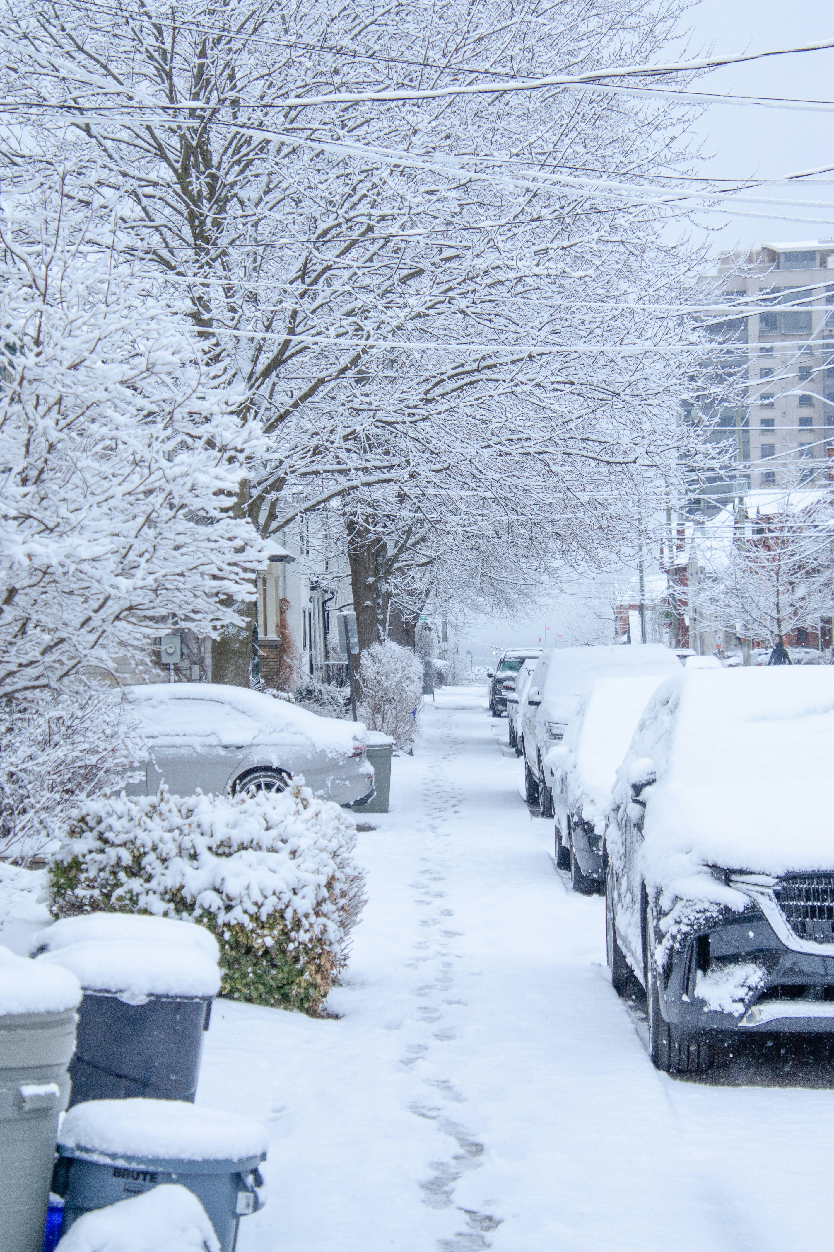 Photo by anthonyaird