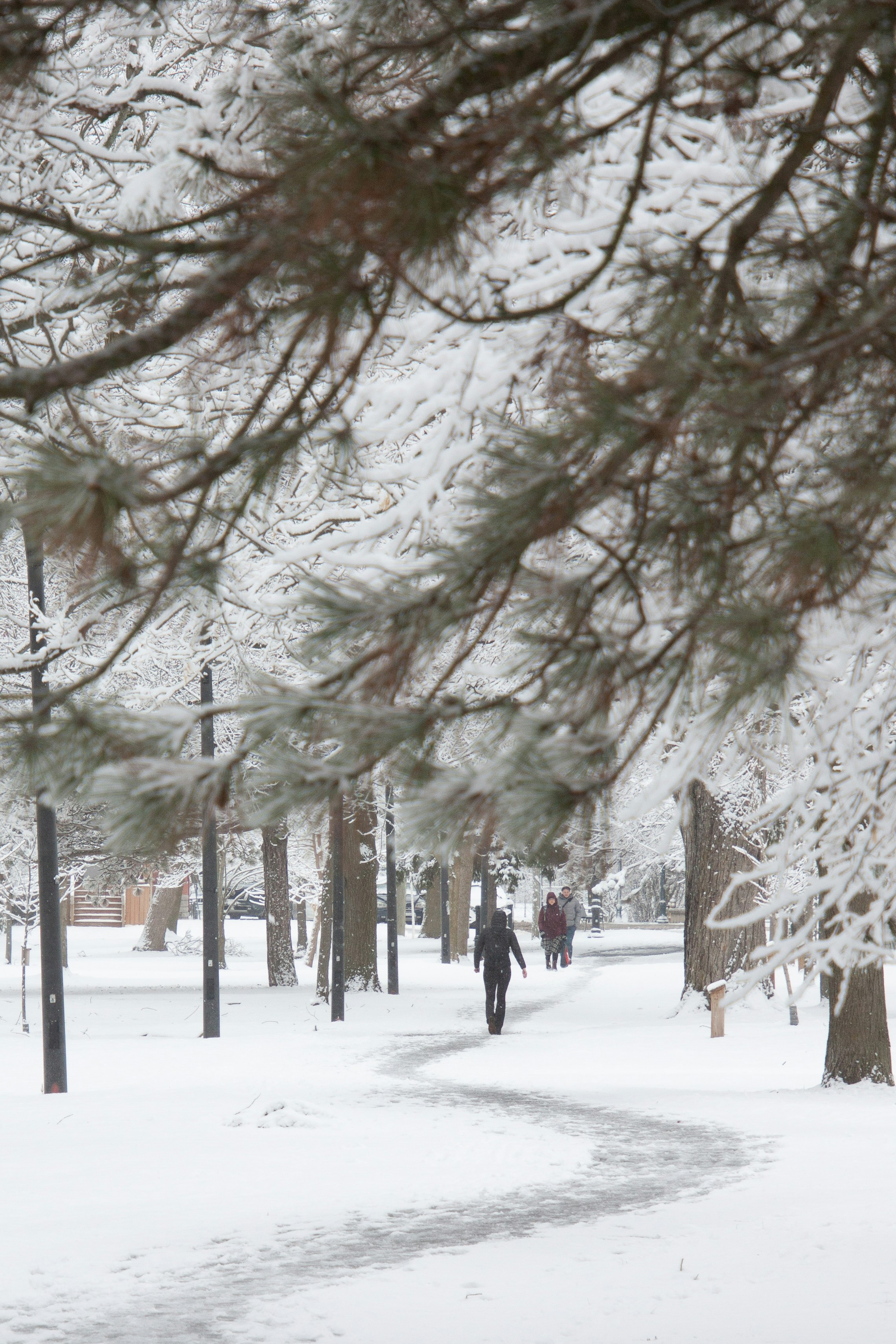 Photo by anthonyaird