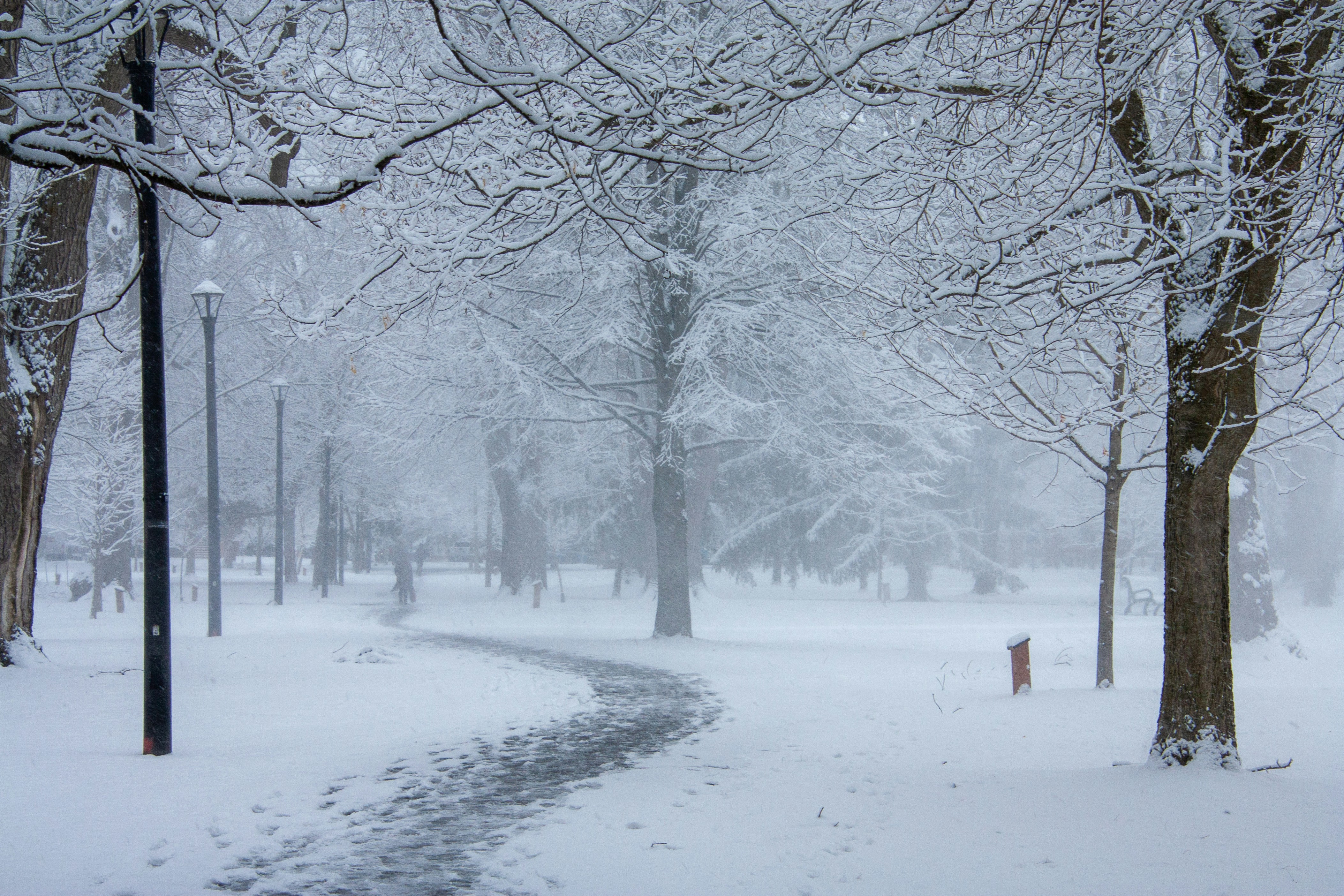 Photo by anthonyaird