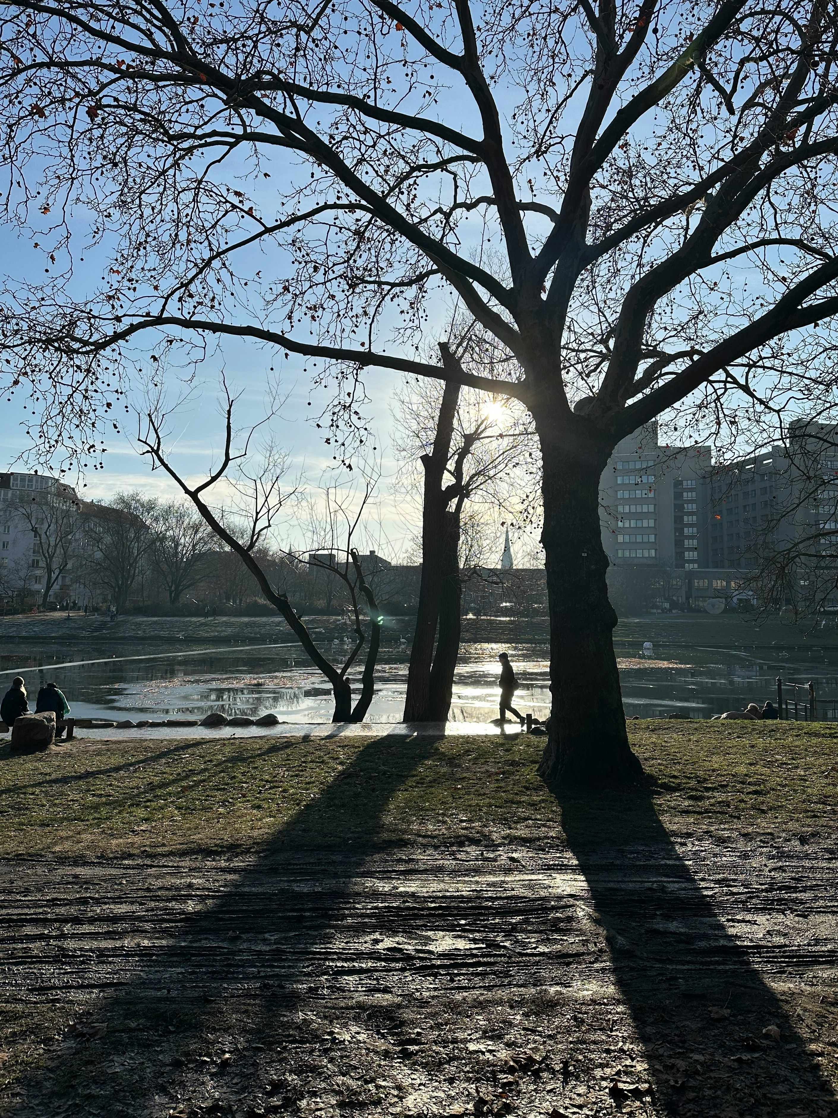 A person walks in a park with long shadows.