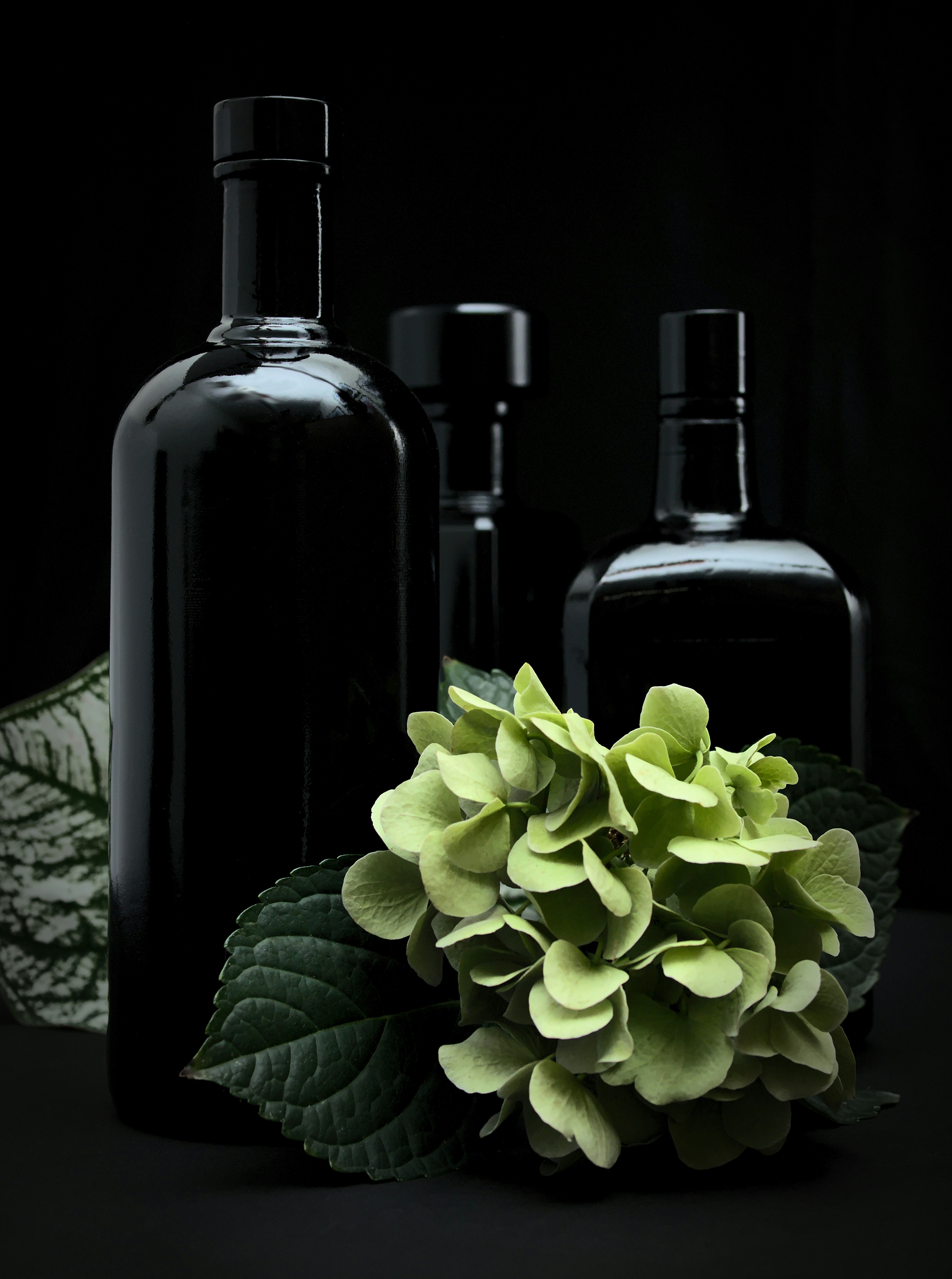 緑色のアジサイの花が咲いた黒いボトルが三本。