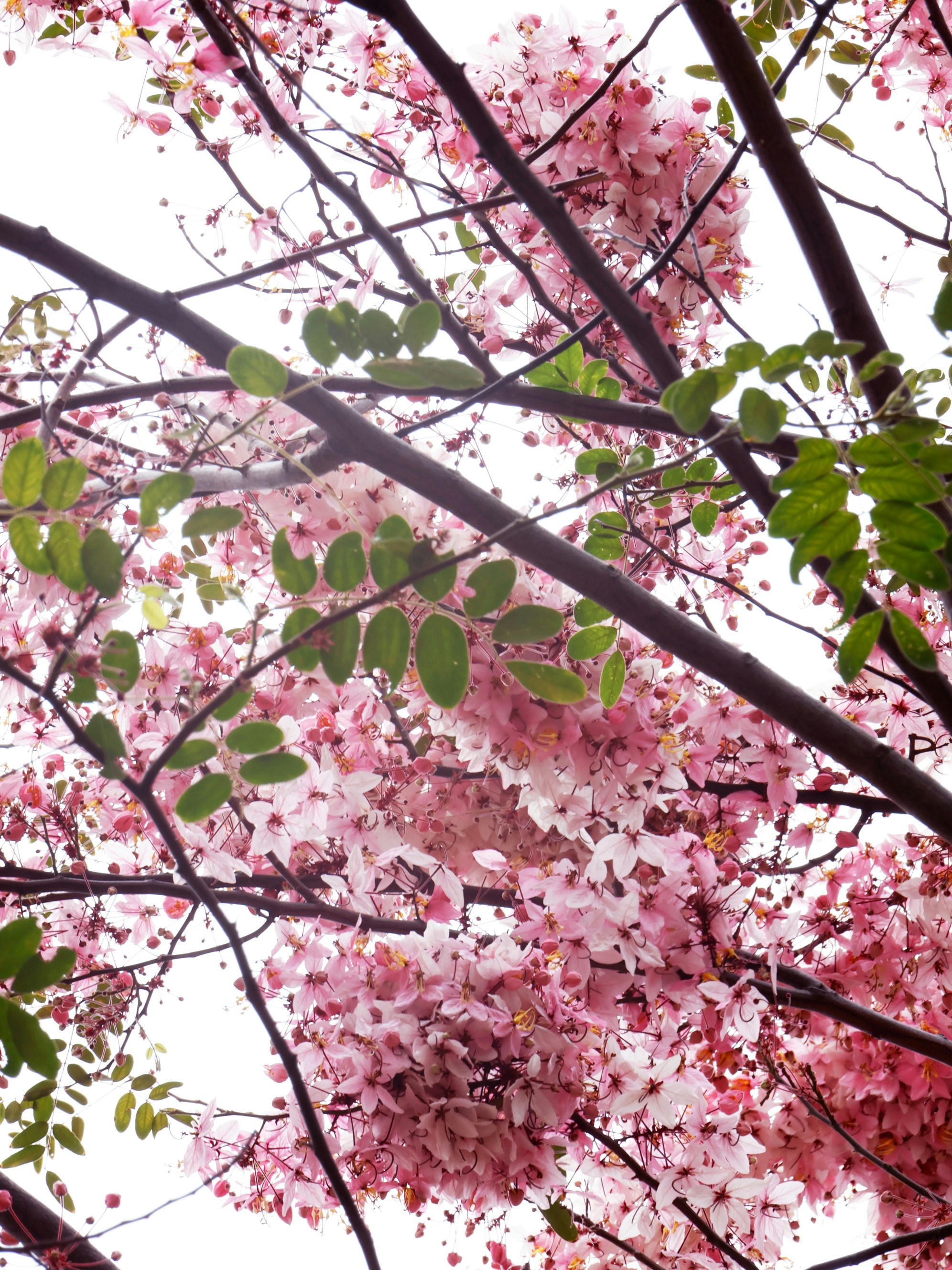 Photo by clr923_s