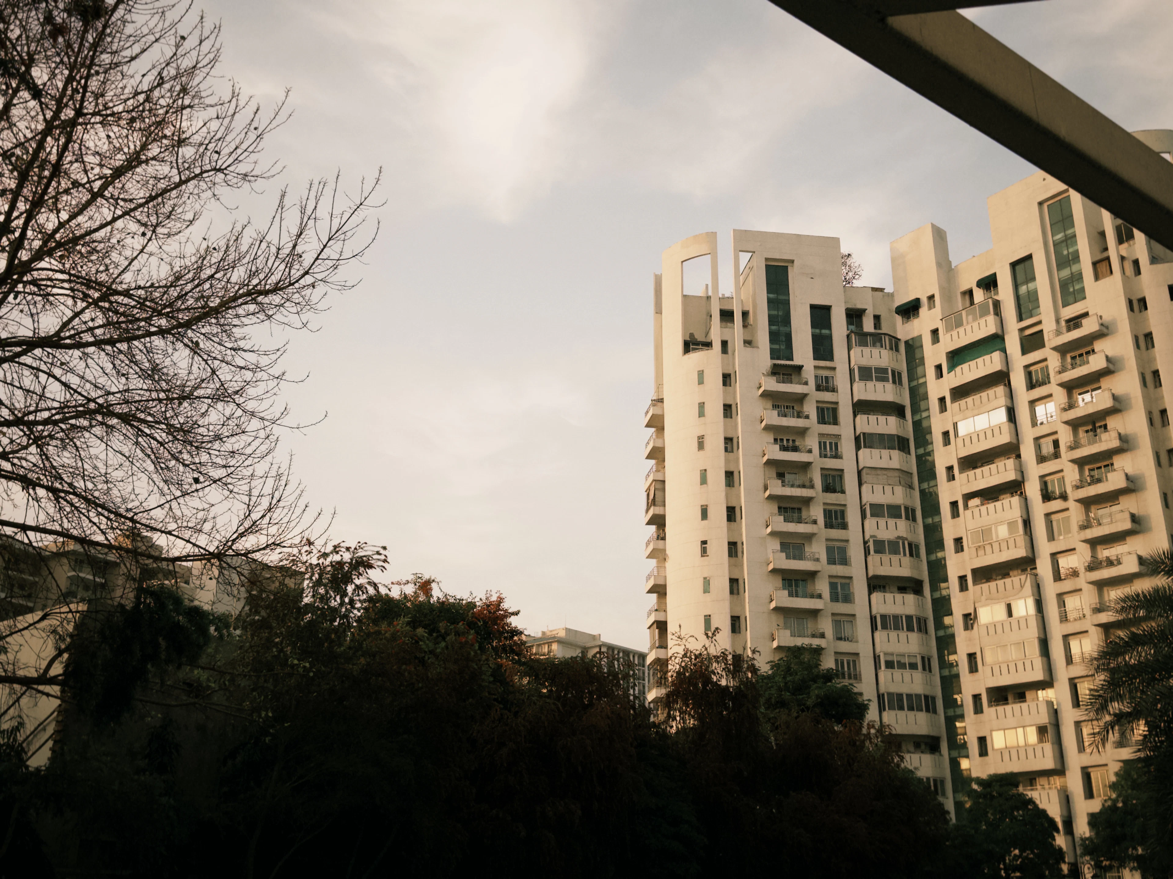 Apartment towers behind trees in an East Delhi neighbourhood