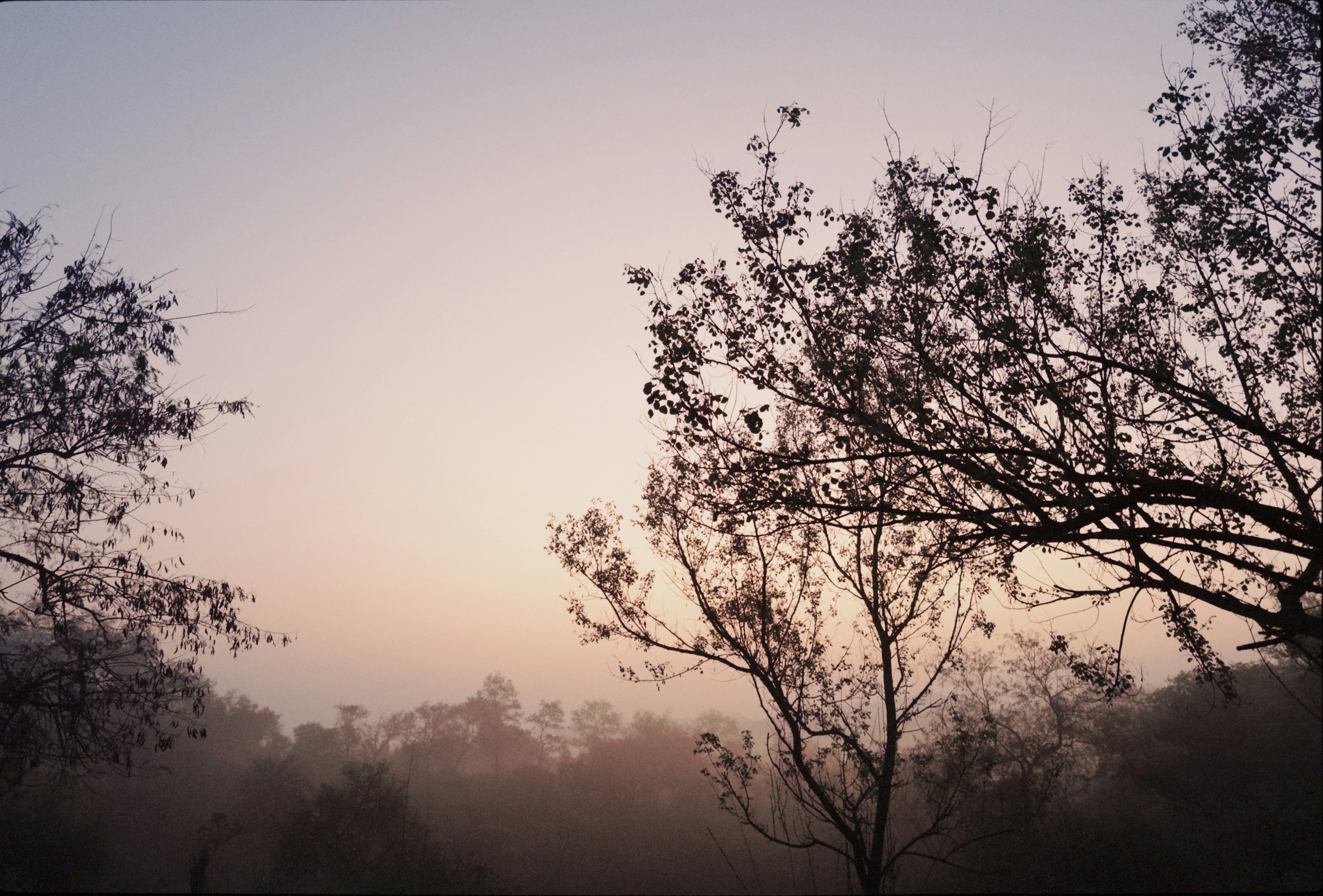 Photo by ishaanthephotoman