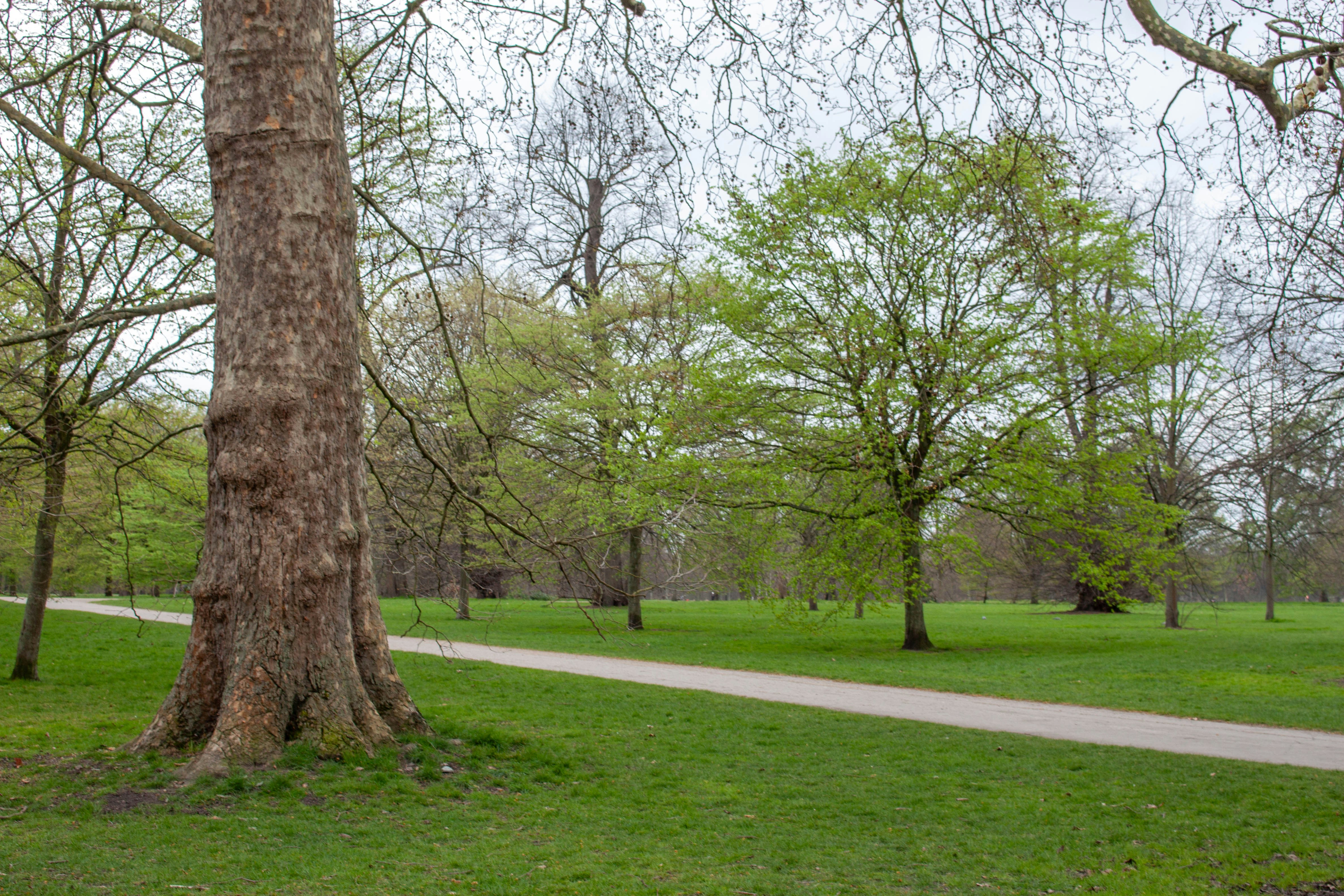 Photo by kamillaisalieva