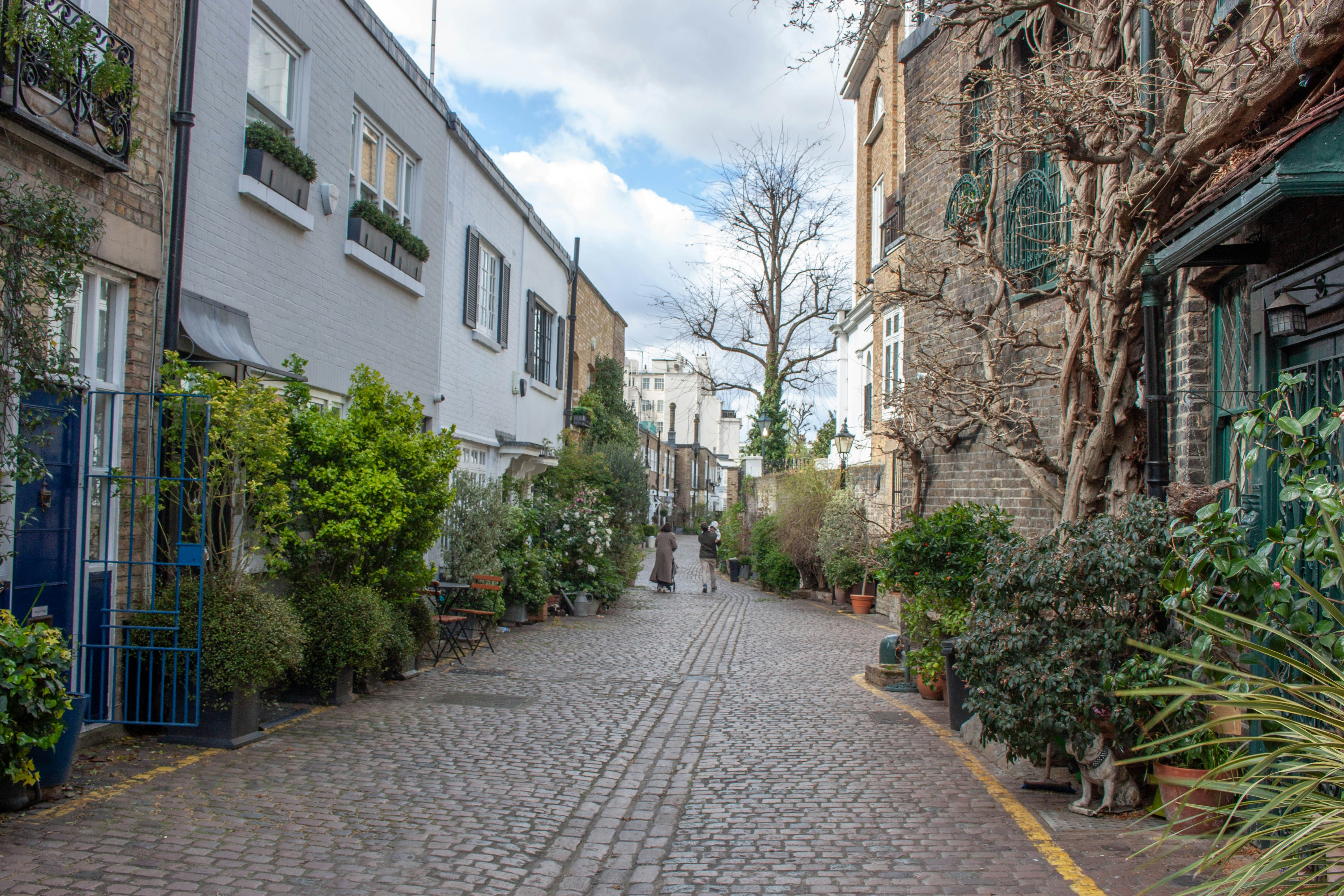 Cobblestone street lined with houses and lush greenery.