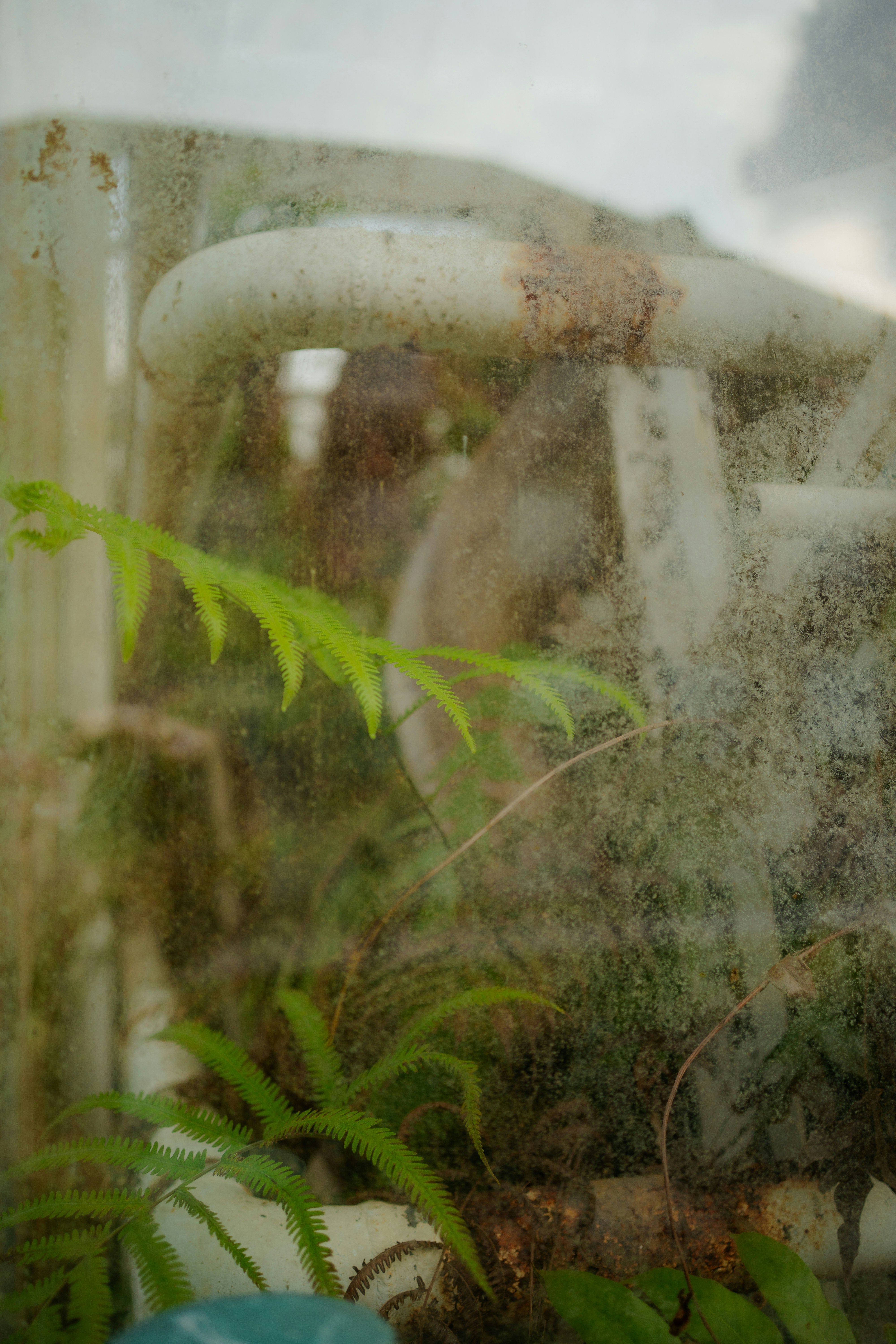 Photo by dermanuskript