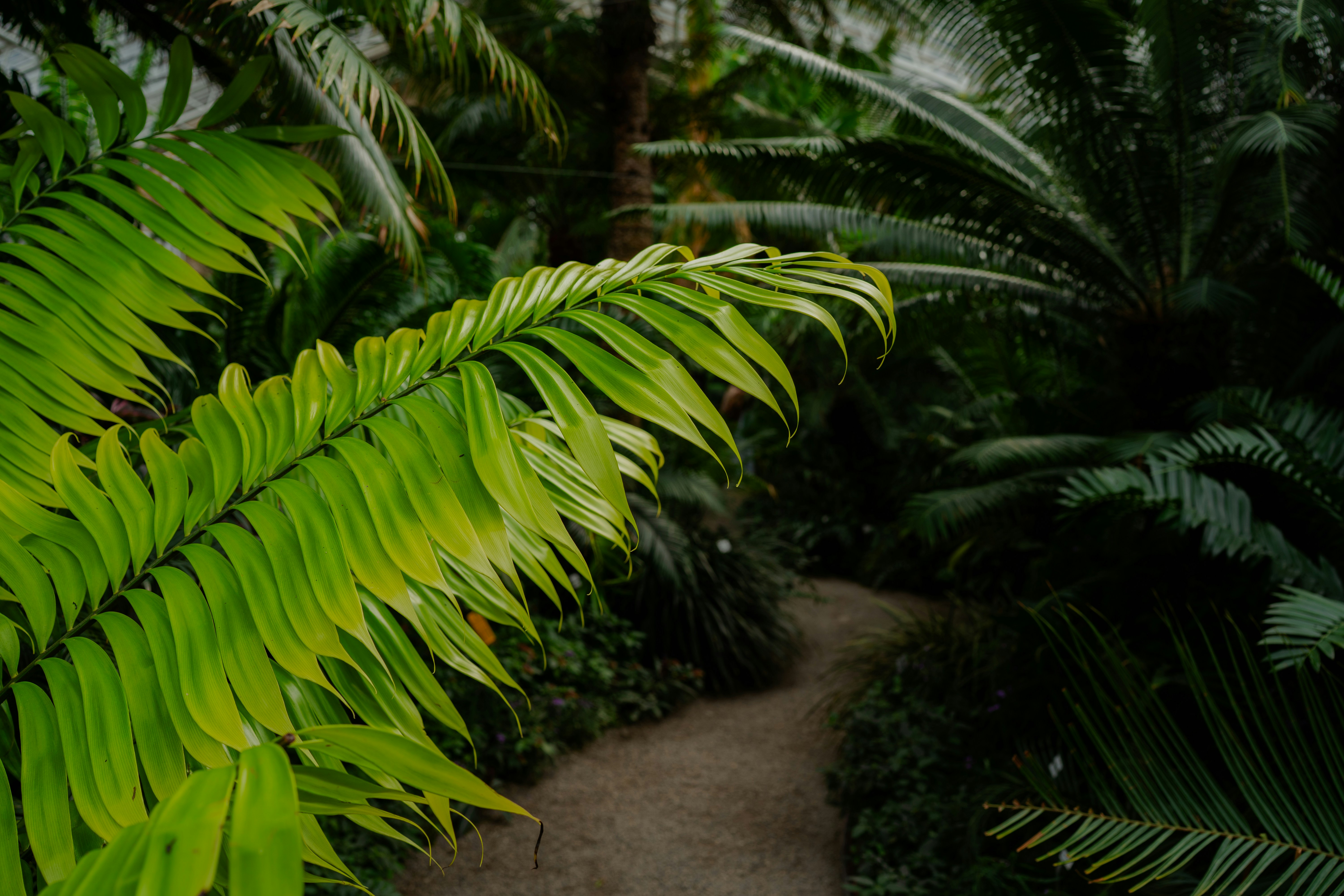 Photo by dermanuskript