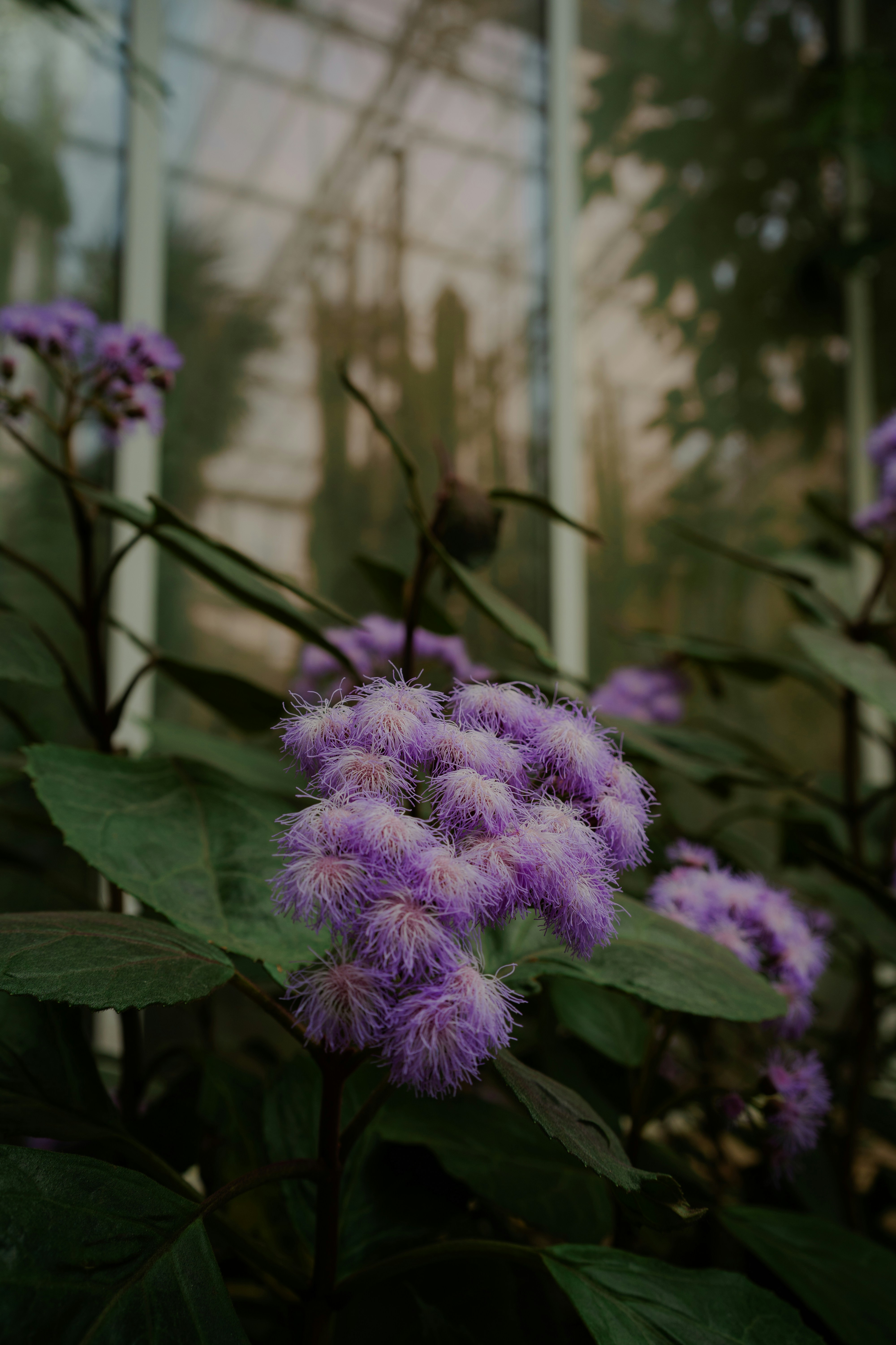 Photo by dermanuskript