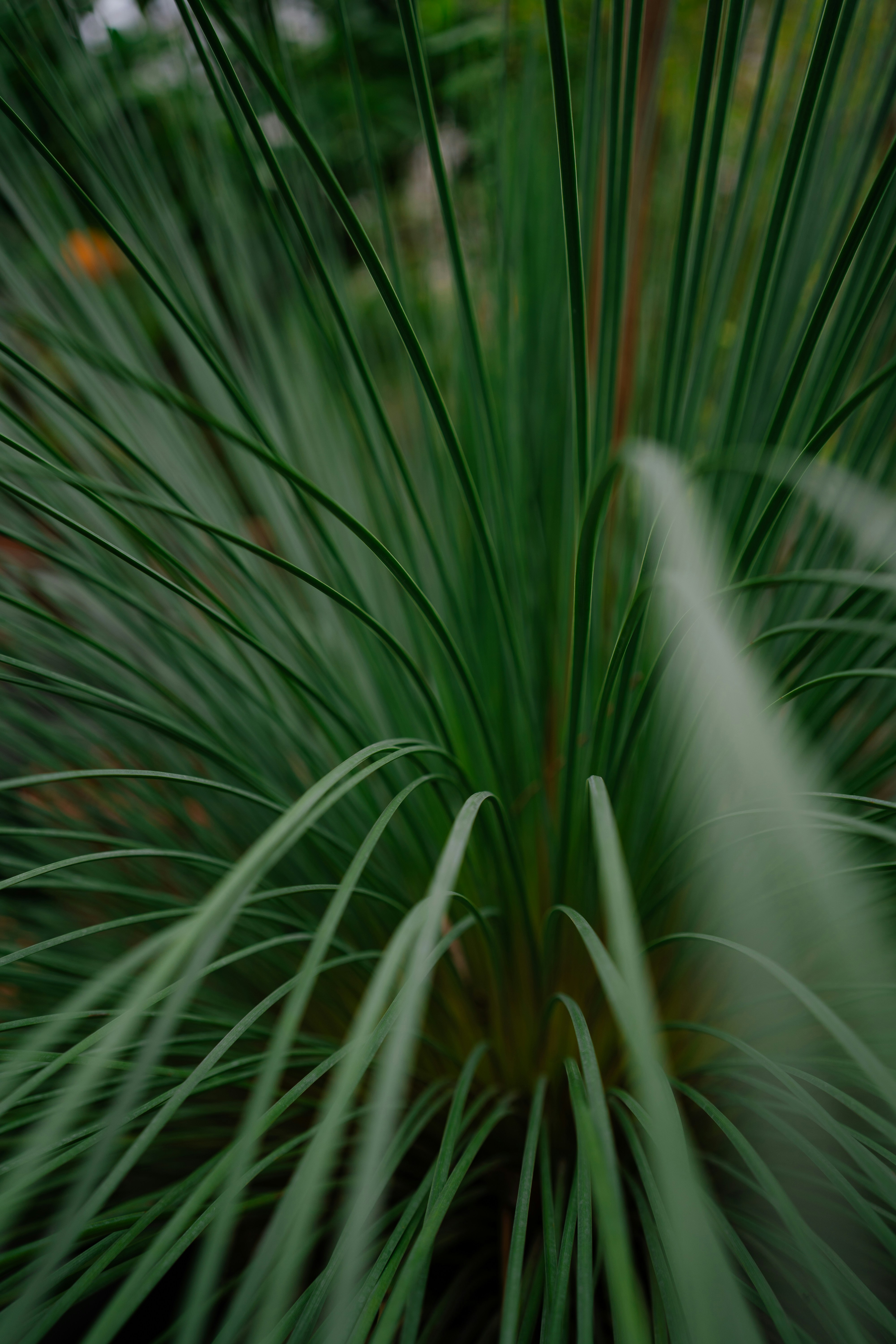 Photo by dermanuskript