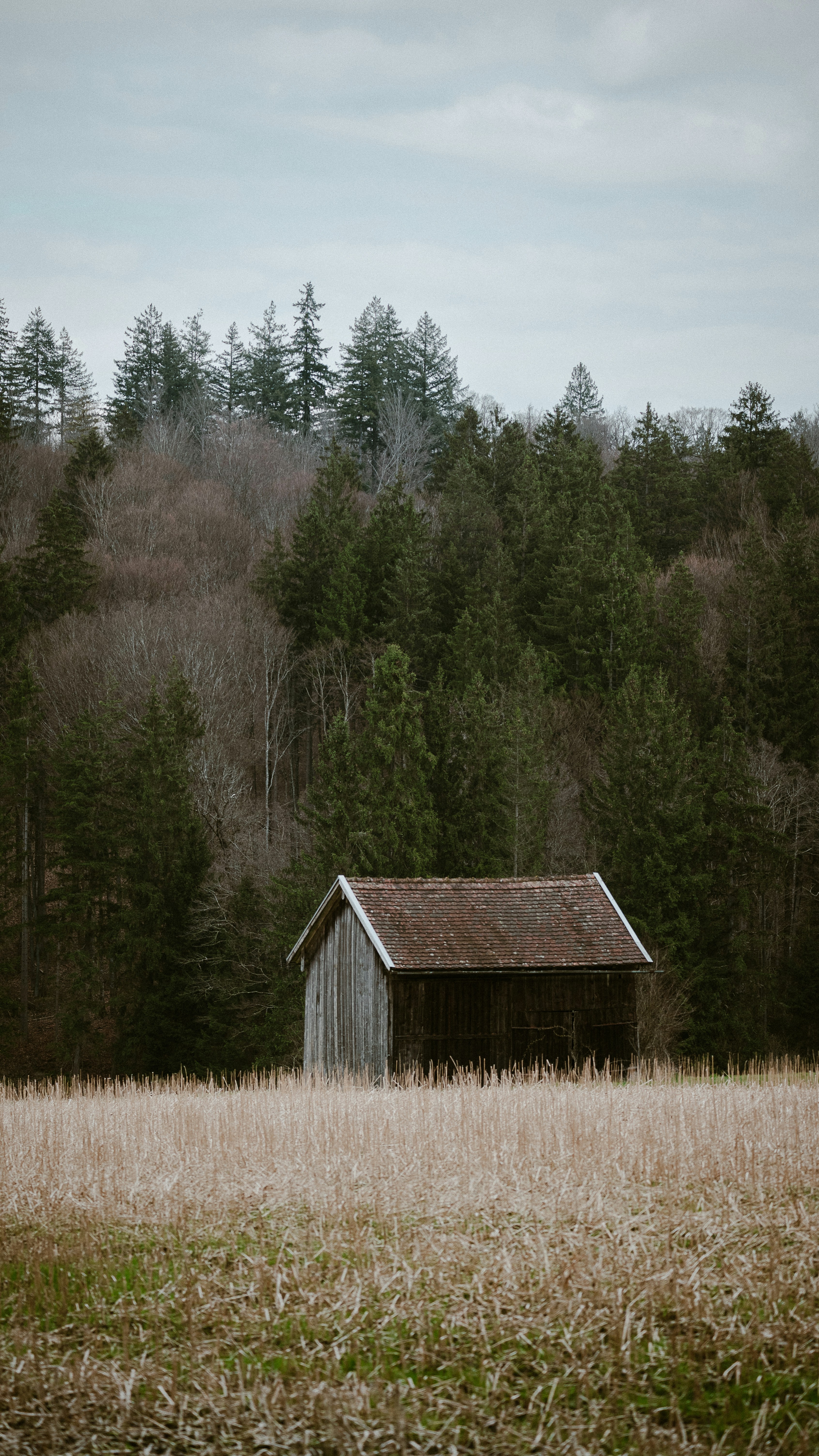 Photo by jetztabertempo