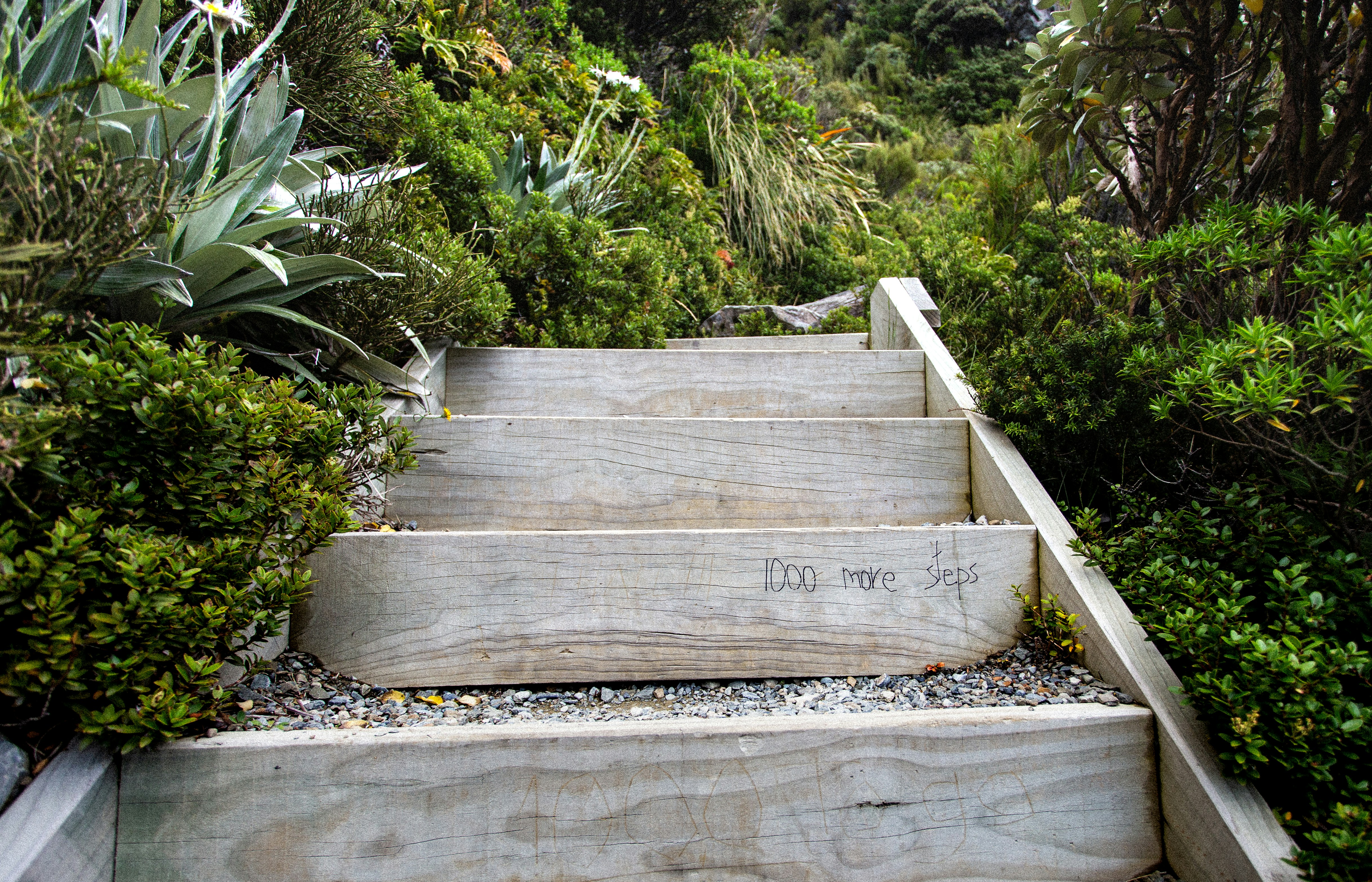 Photo by marekpiwnicki