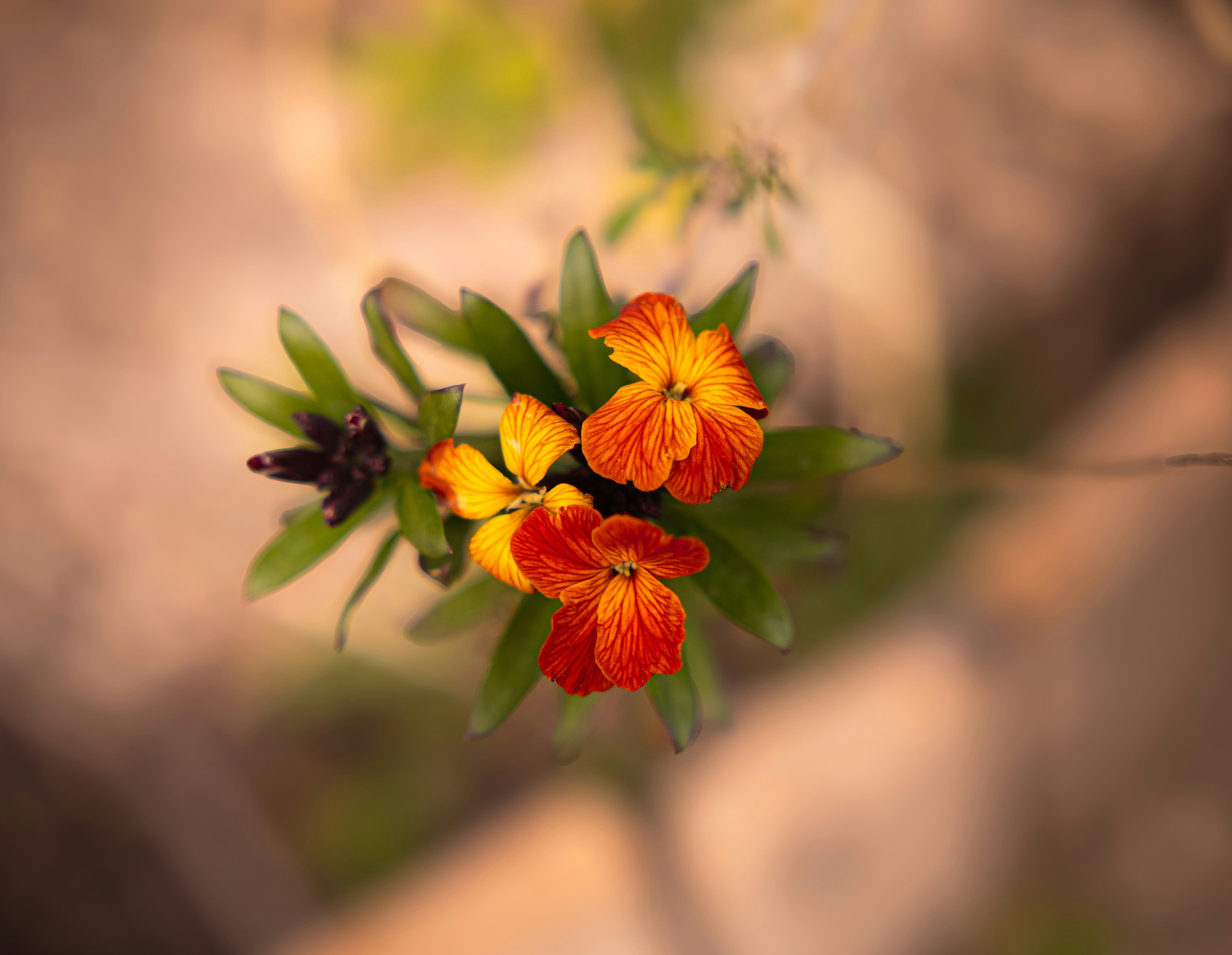 Photo by britosebastian