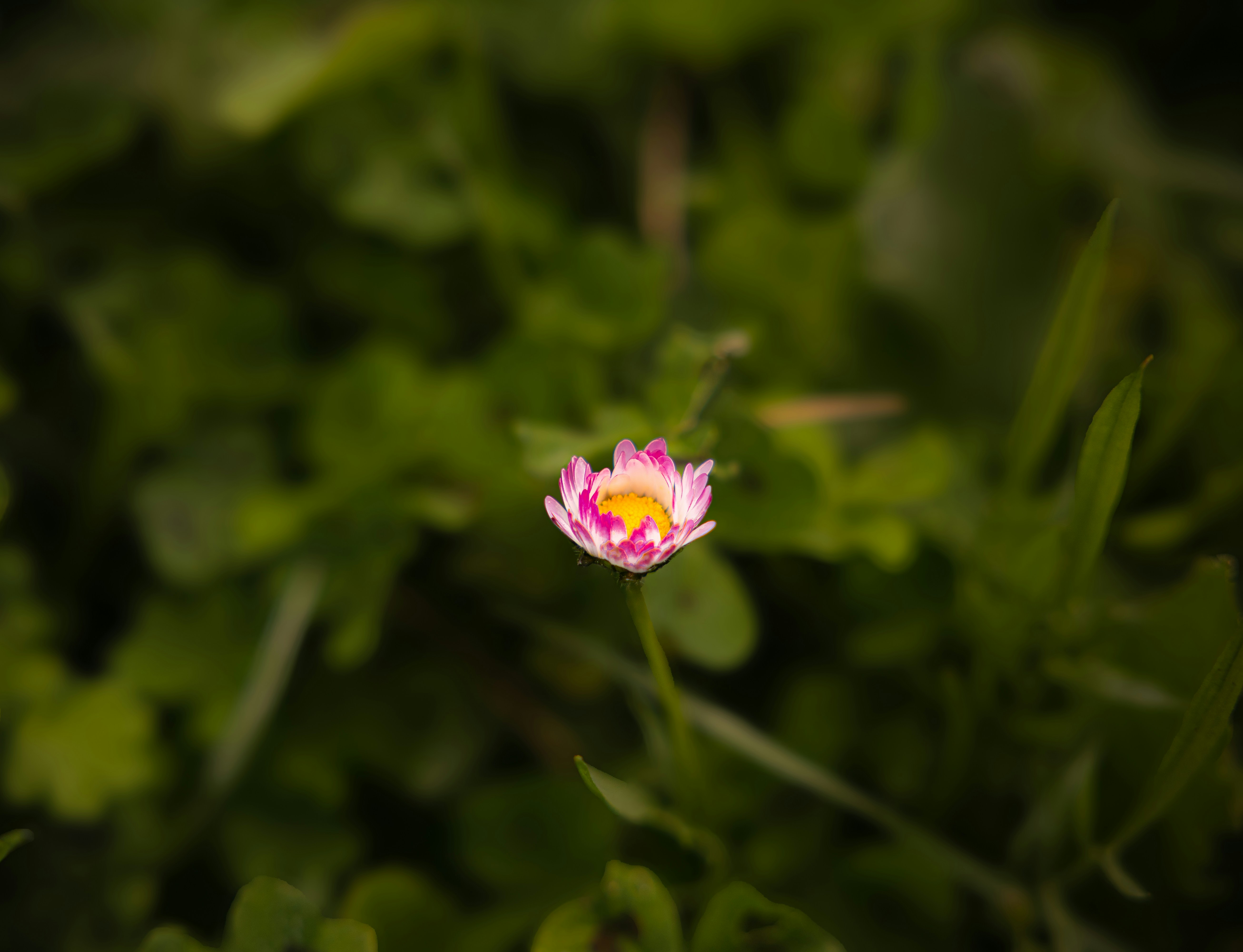 Photo by britosebastian