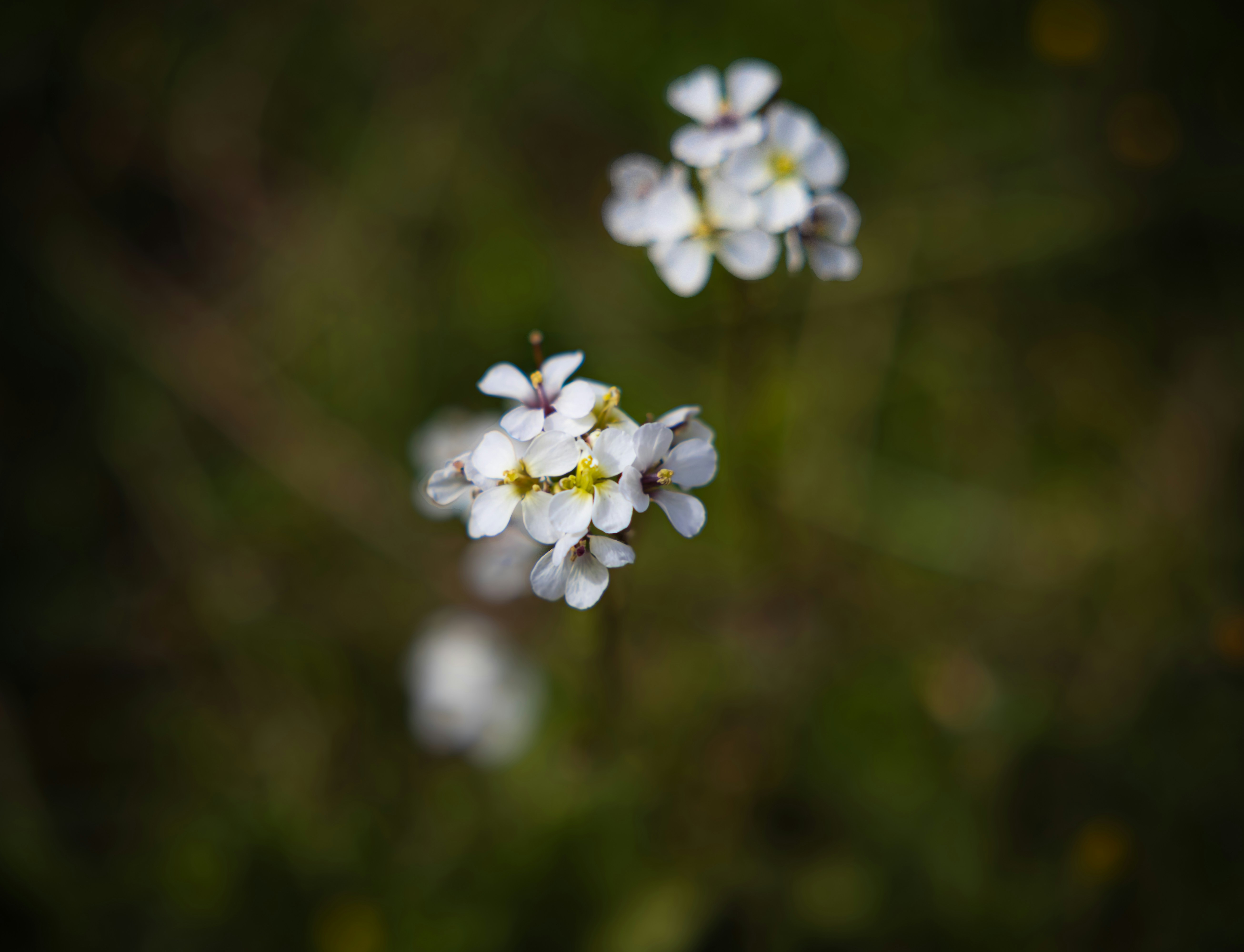 Photo by britosebastian