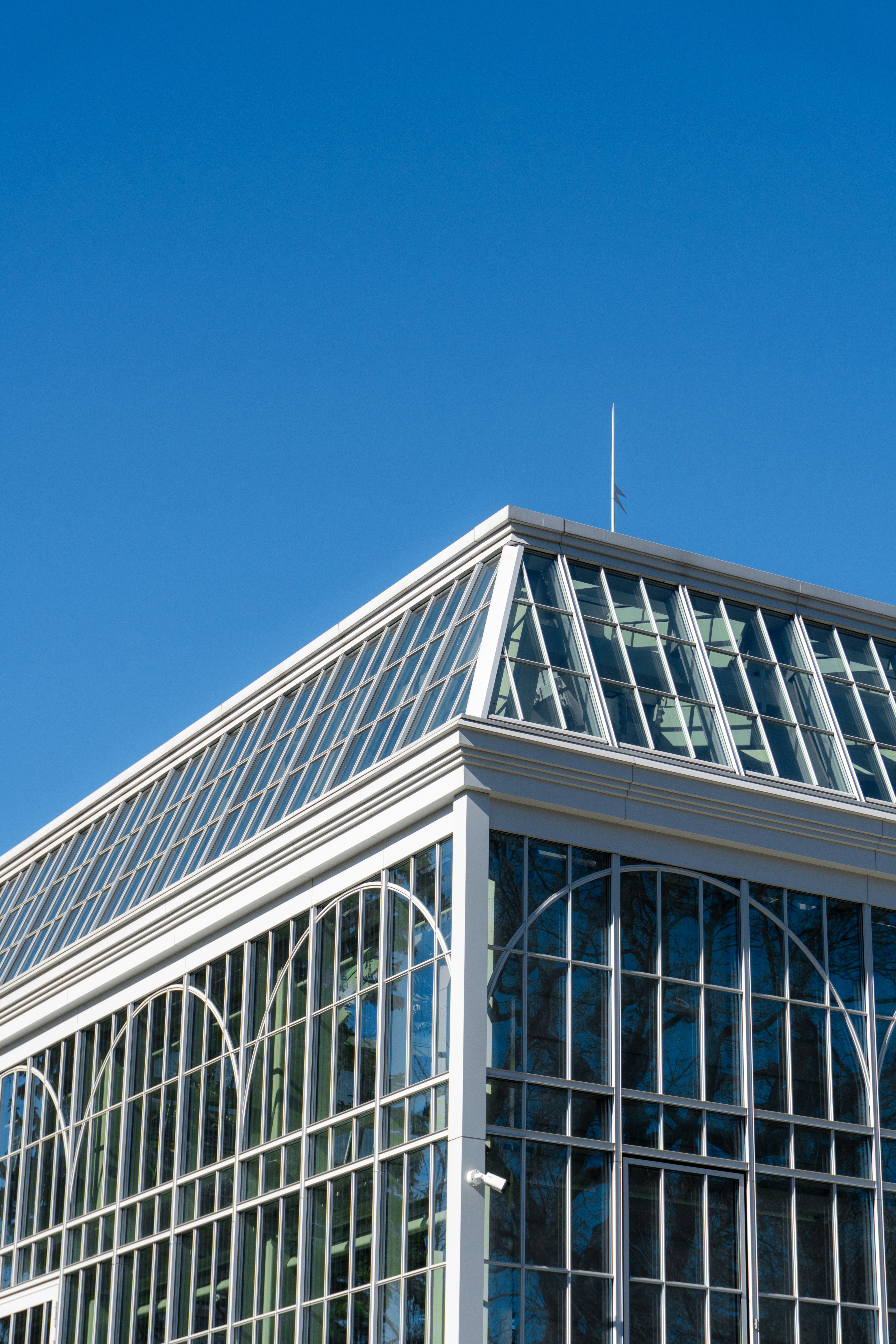 Photo by aliona_zahrai